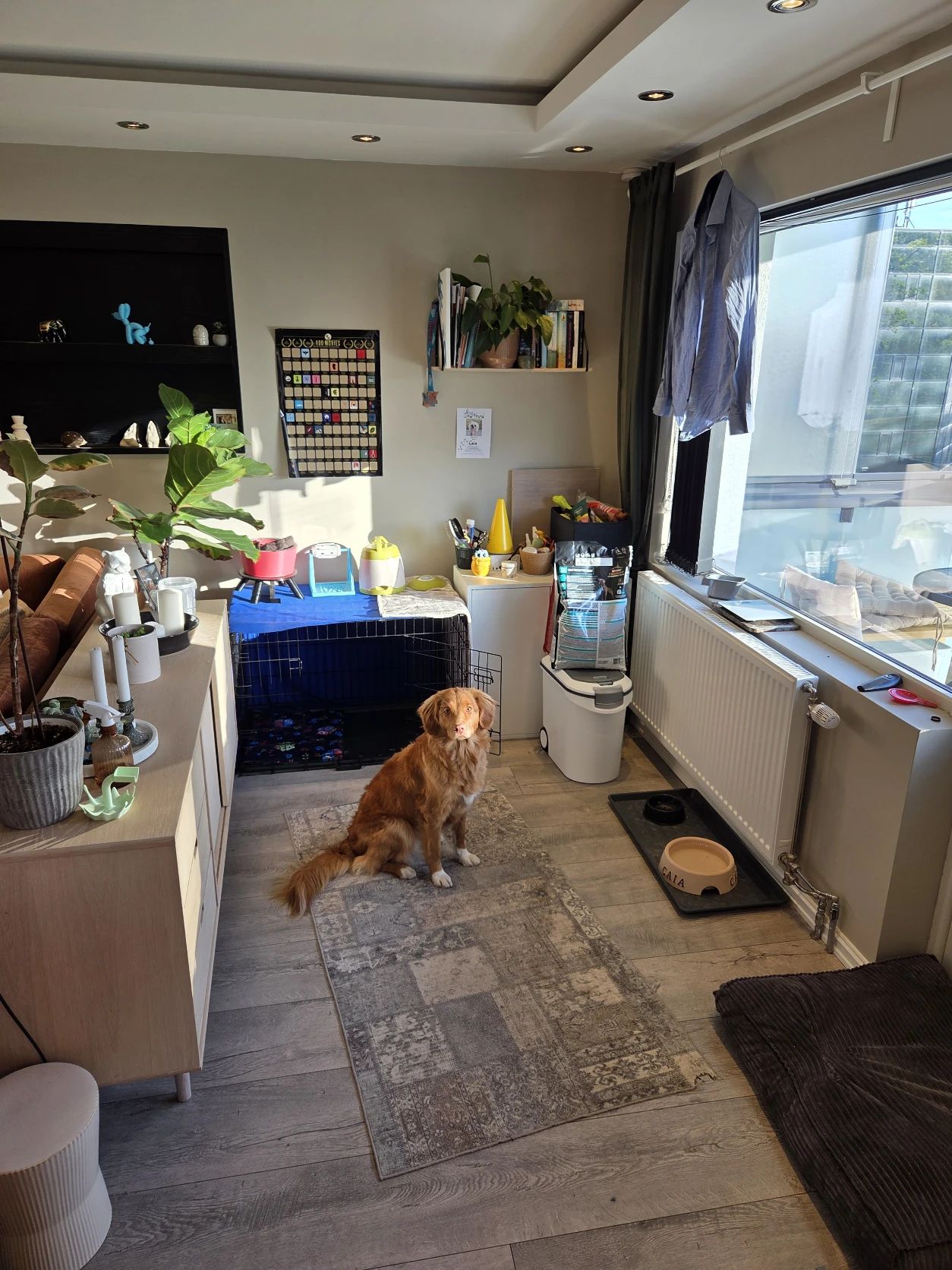 image-16