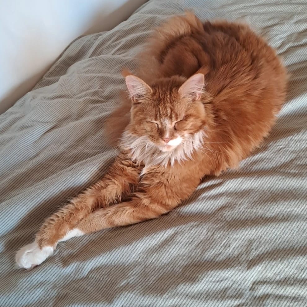 Boris