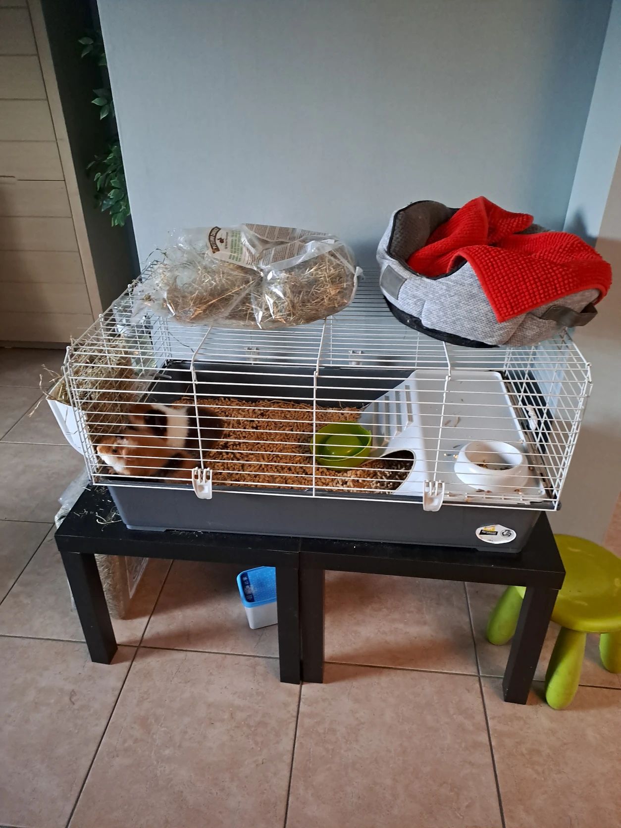 image-13