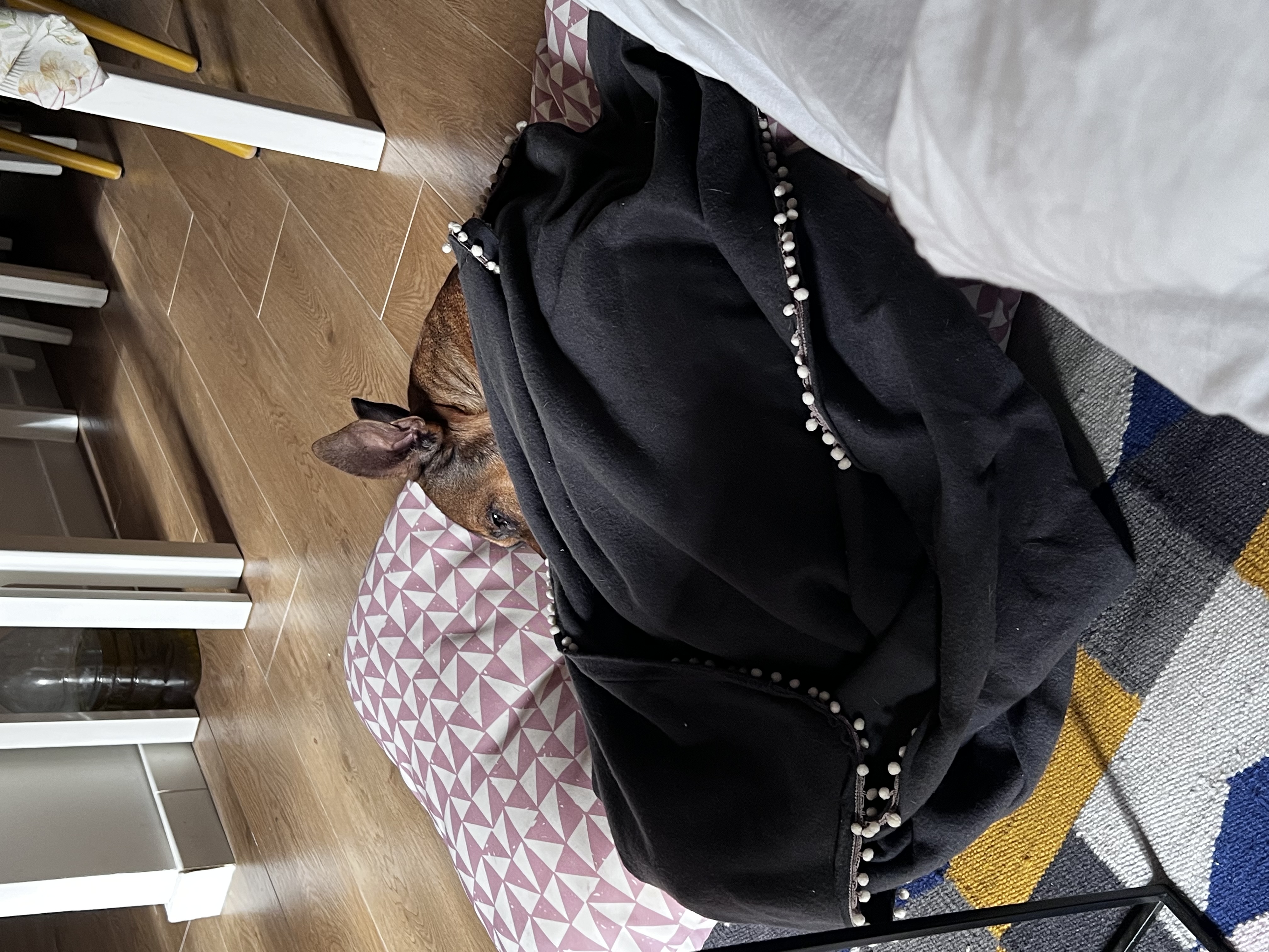 image-8