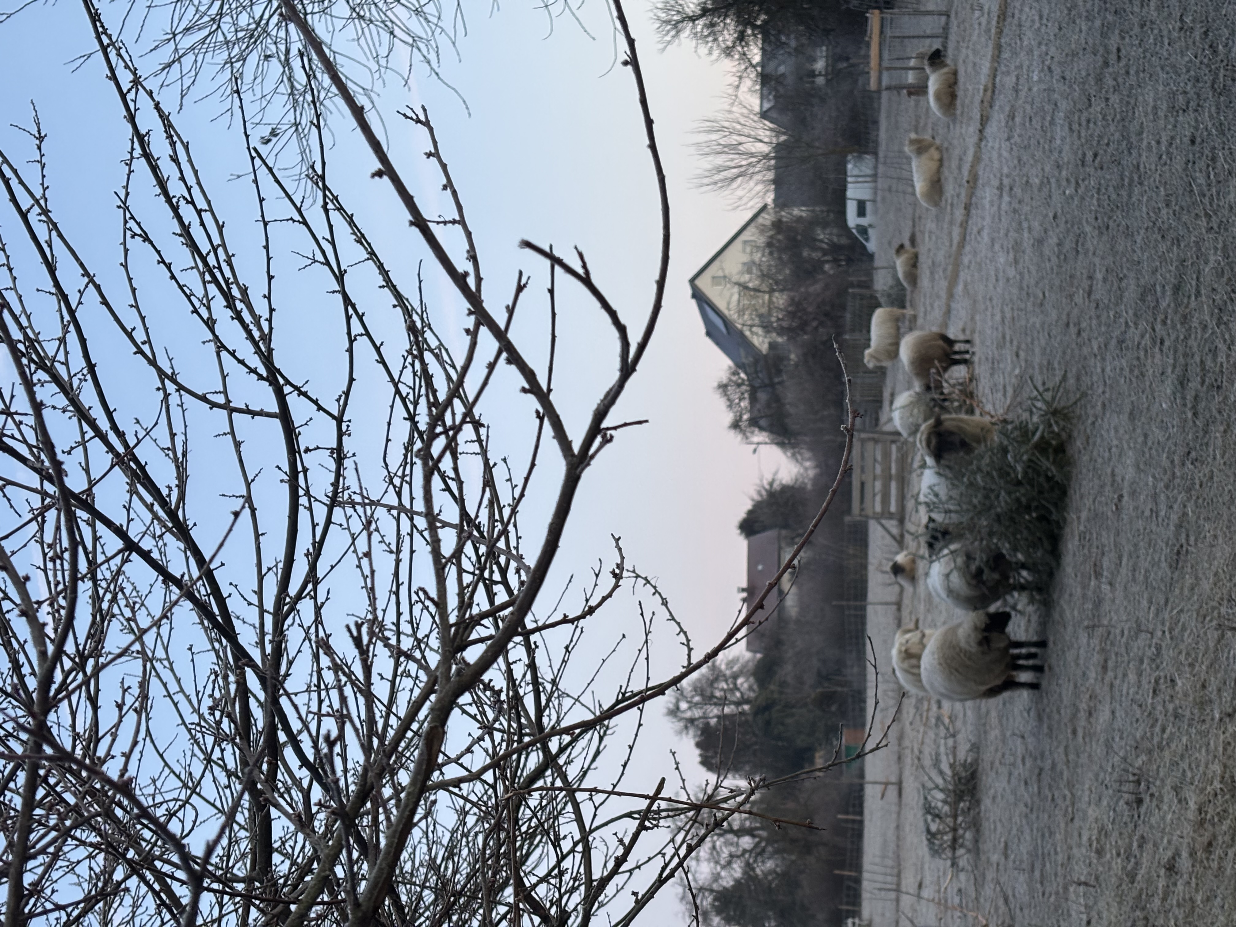 image-15