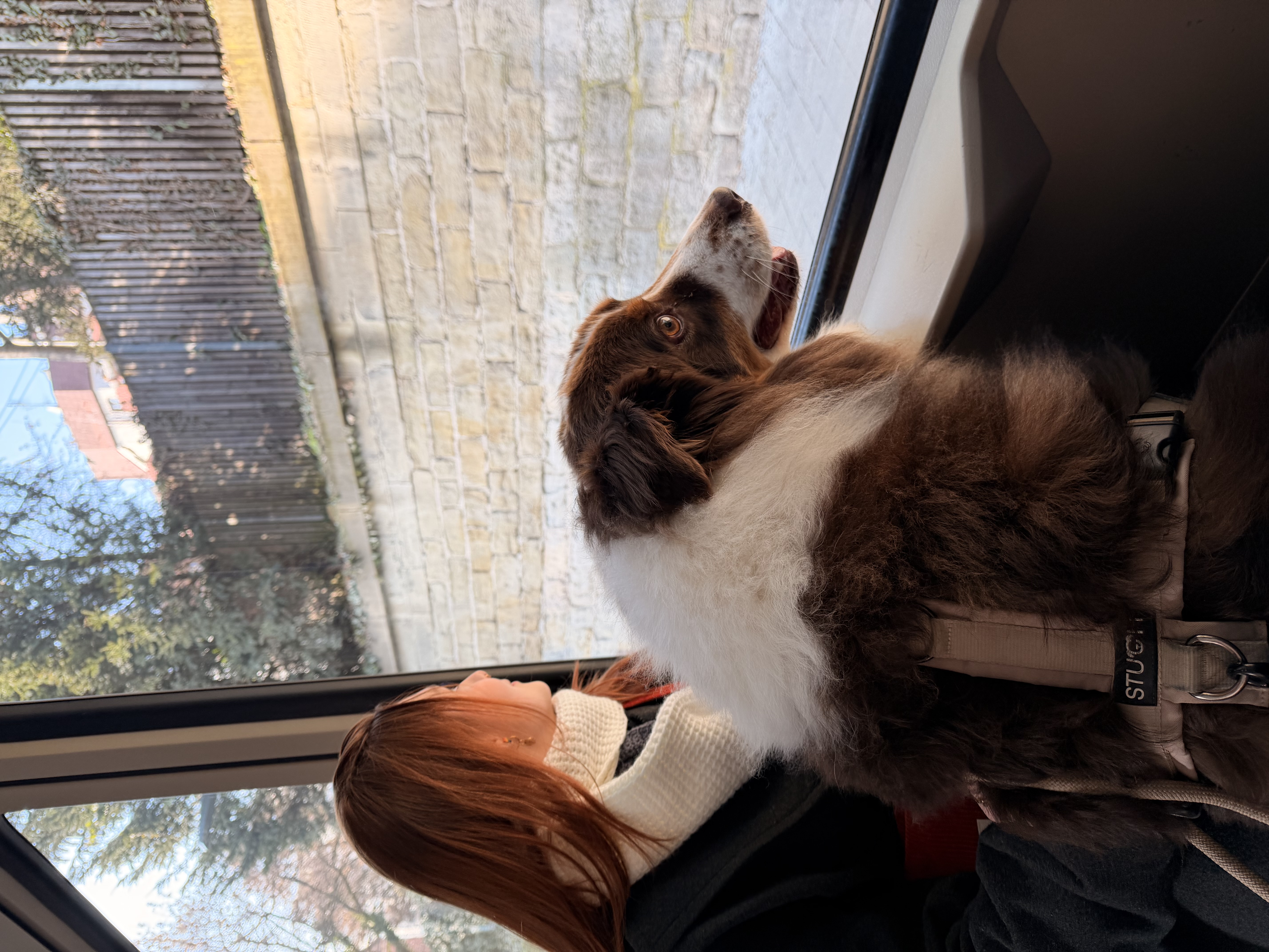 image-6