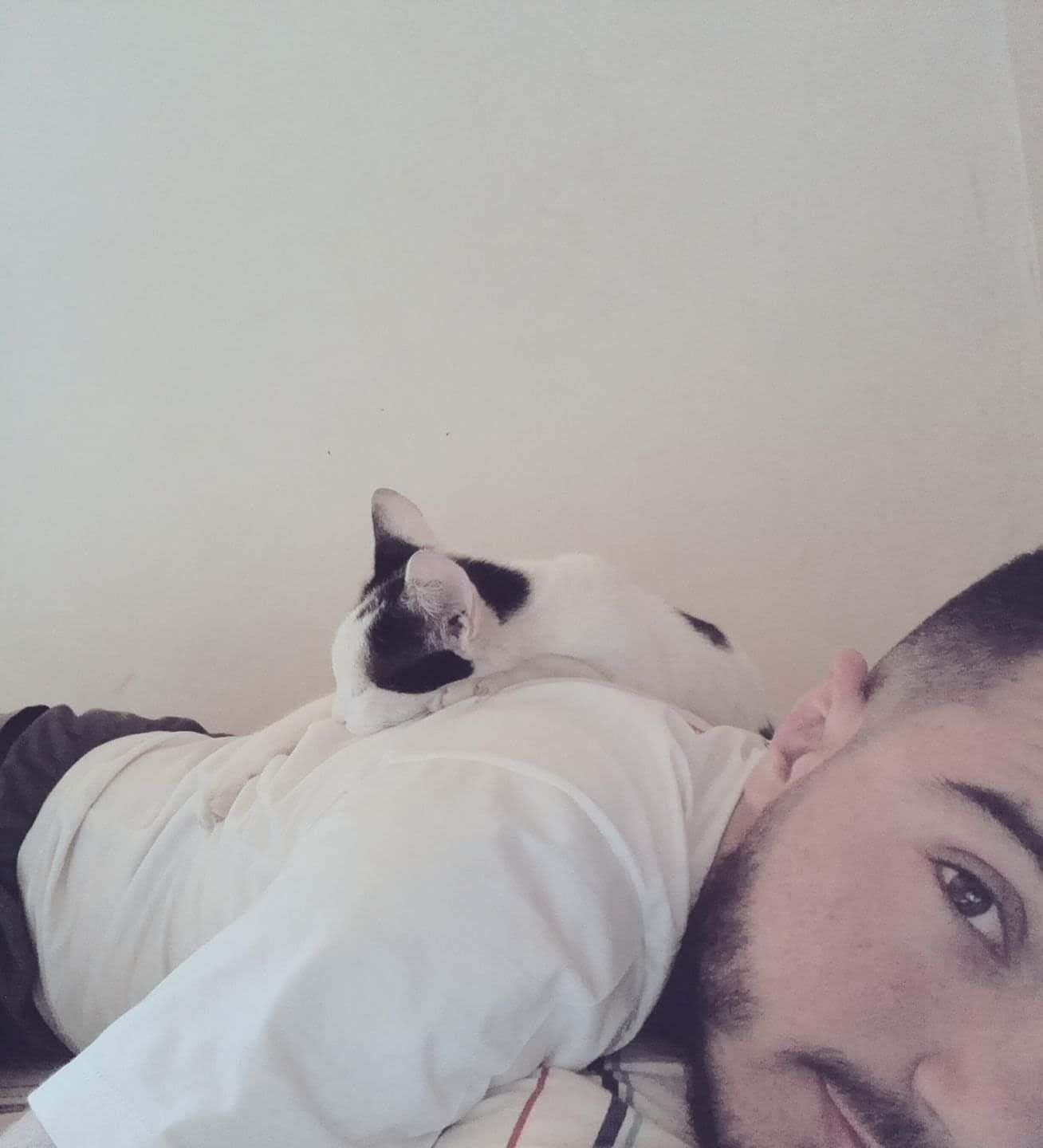 image-8