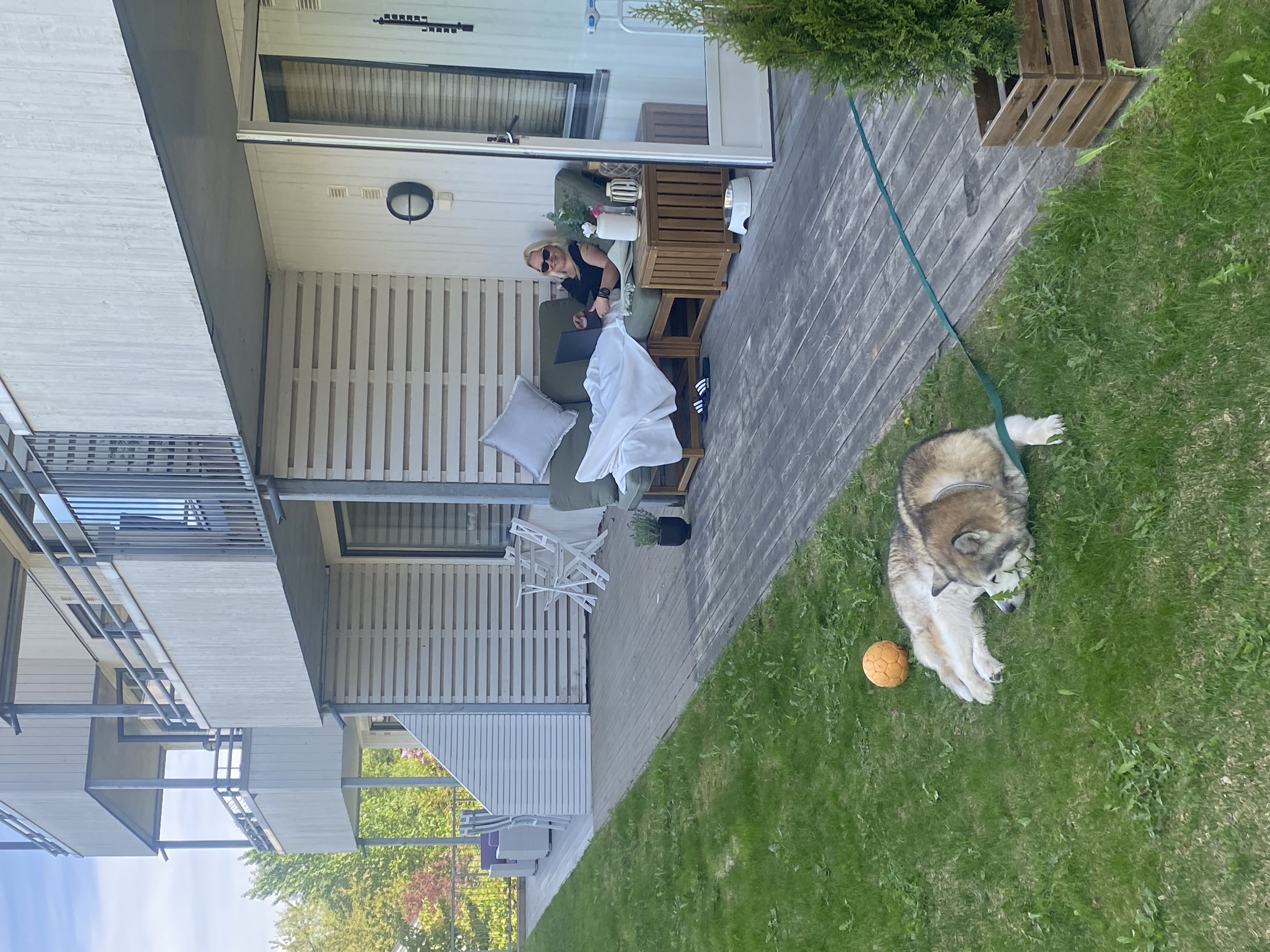 image-14