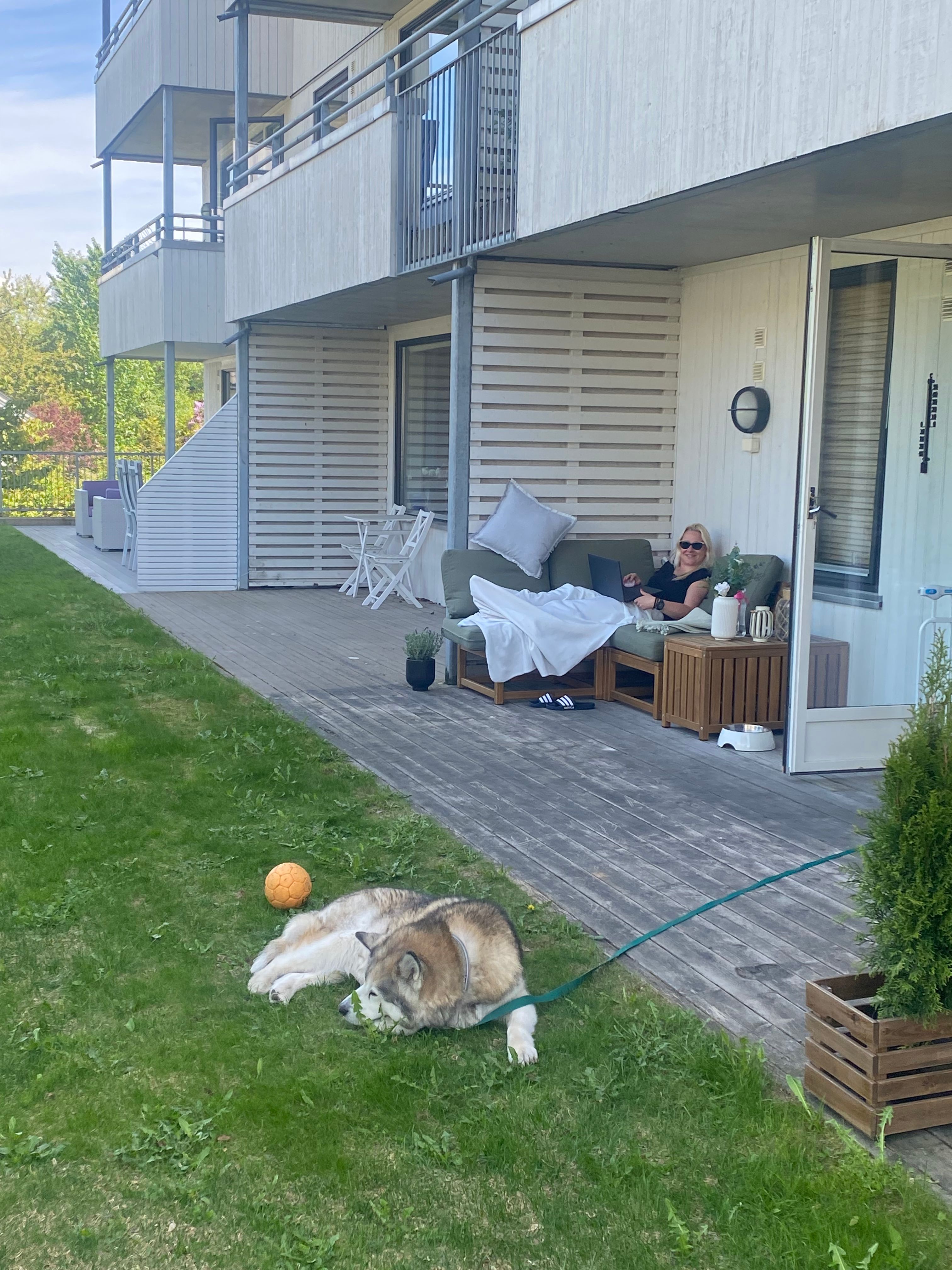 image-14