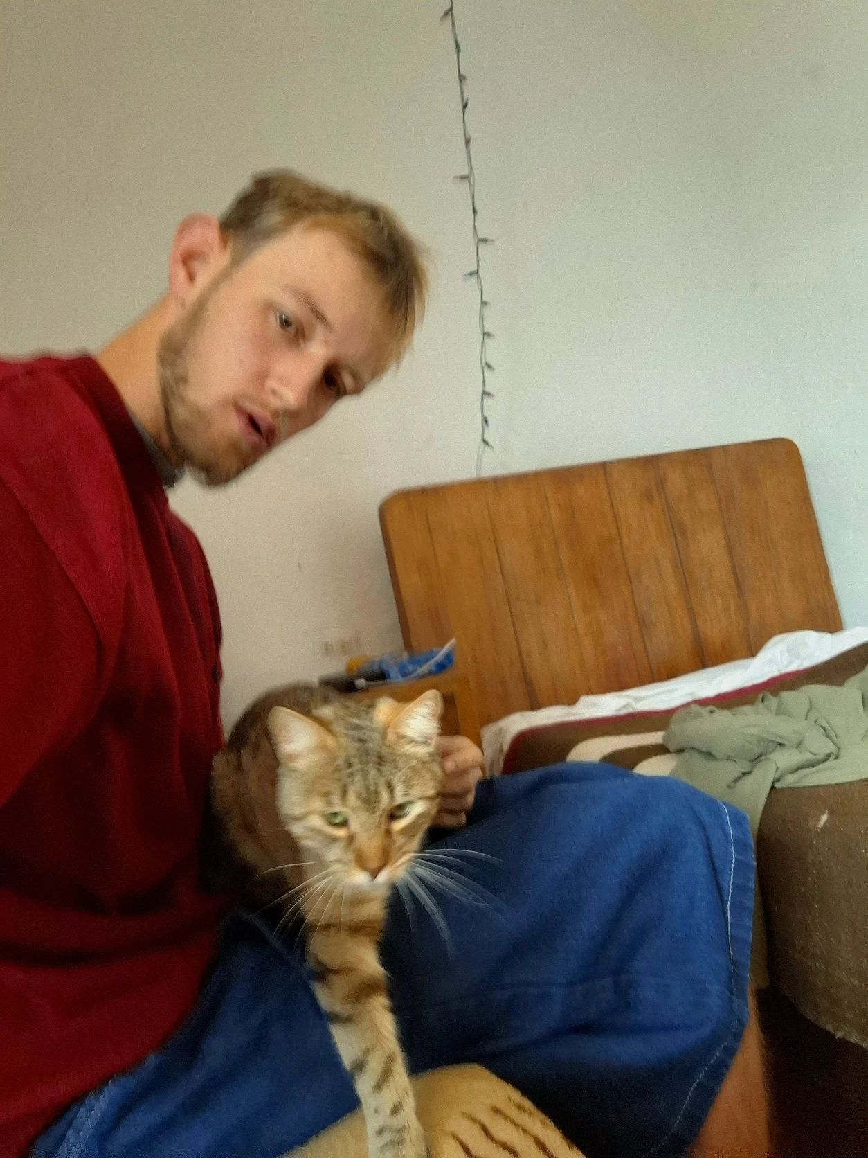 image-1