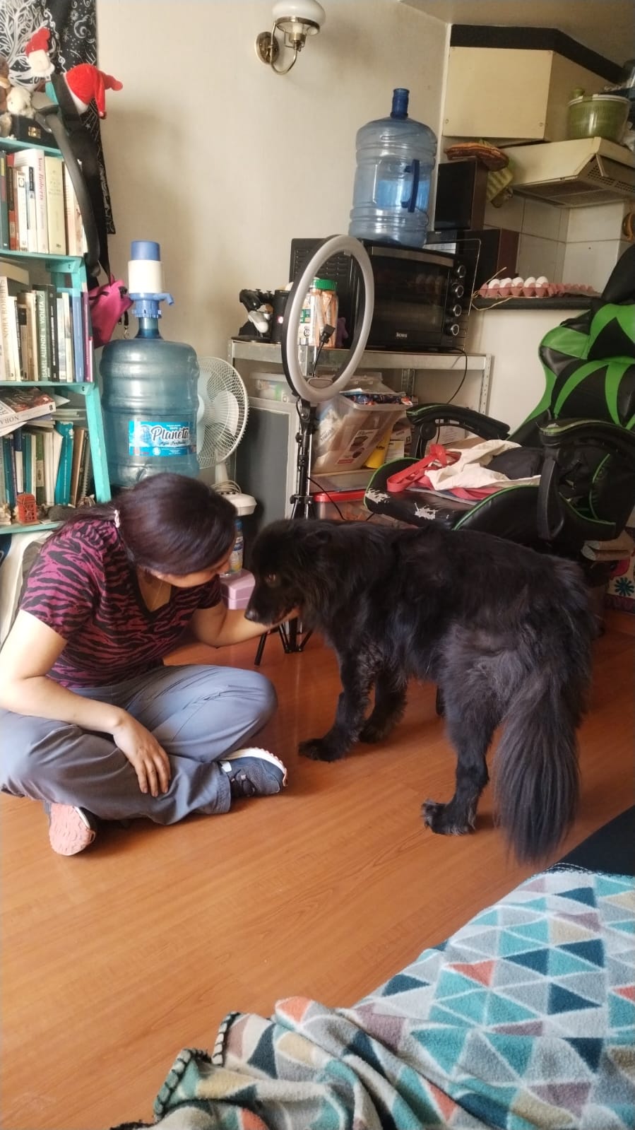 image-7