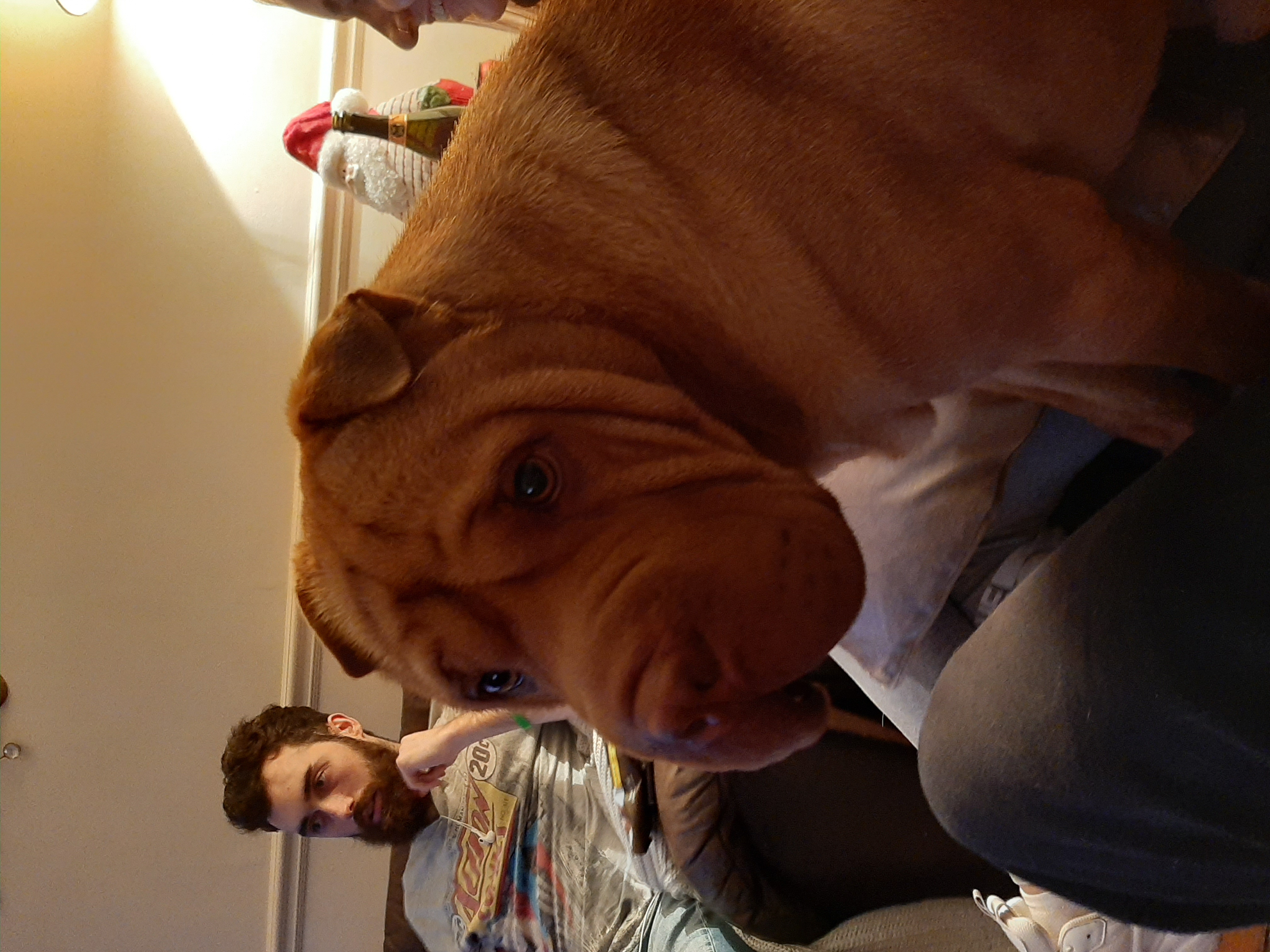 image-8