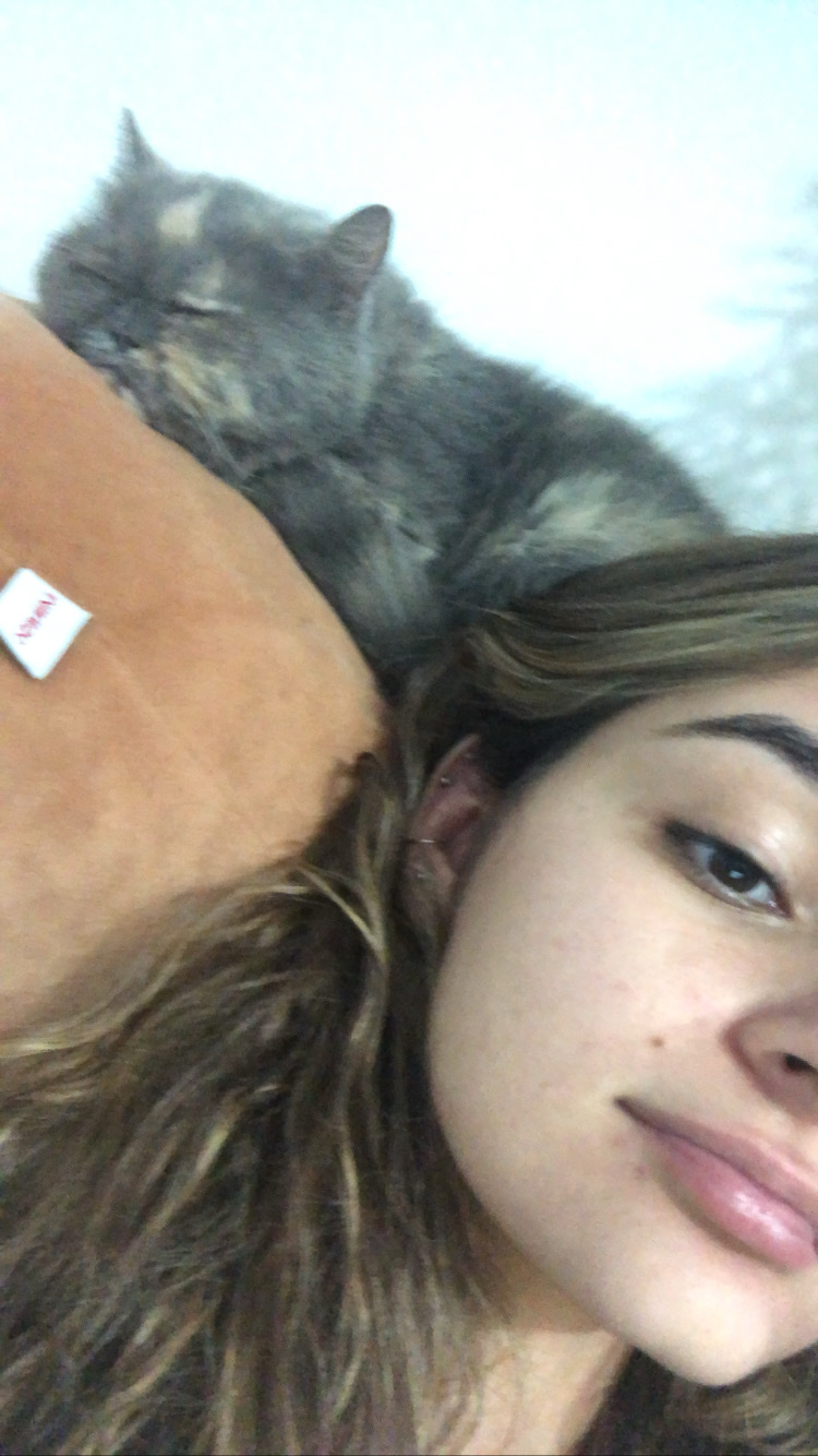 image-5