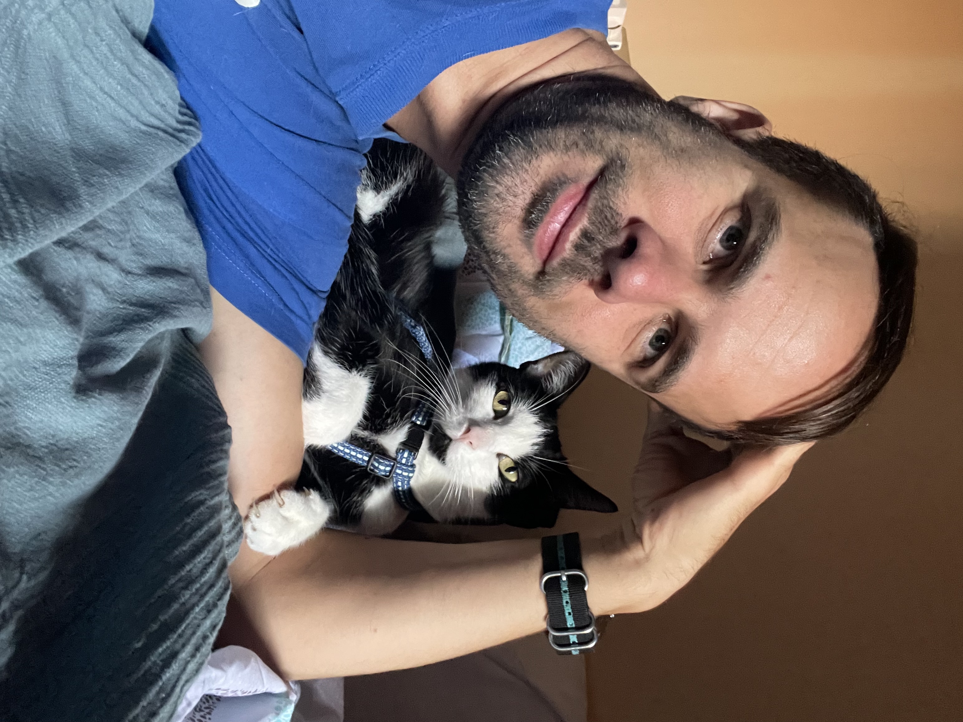 image-6