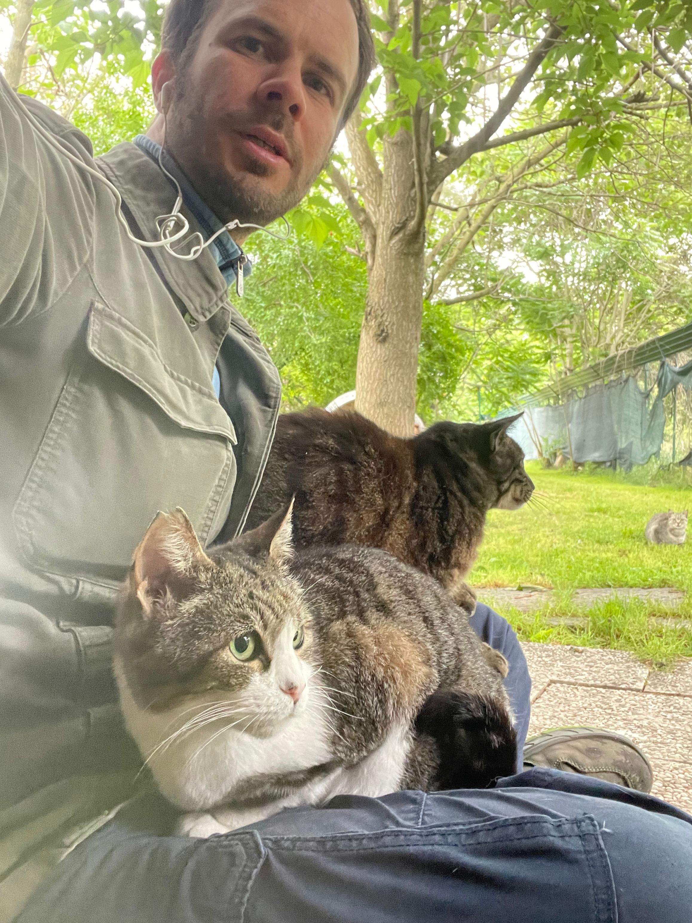 image-6