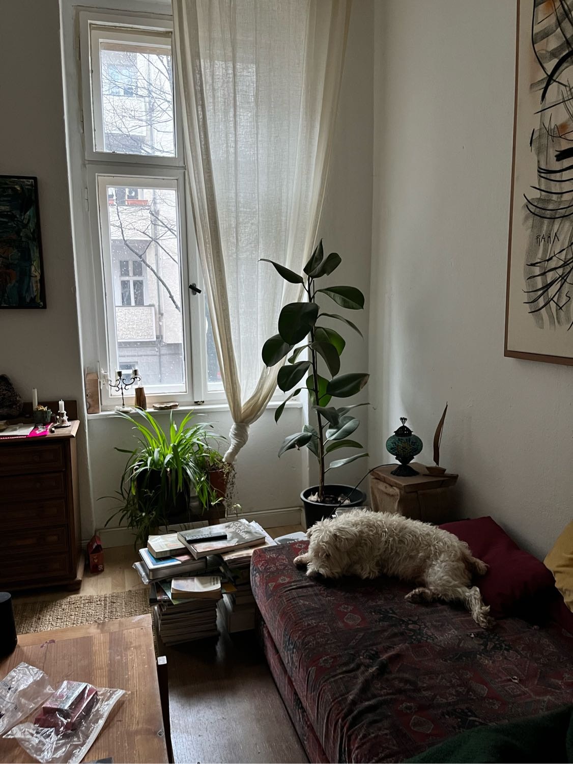 image-5
