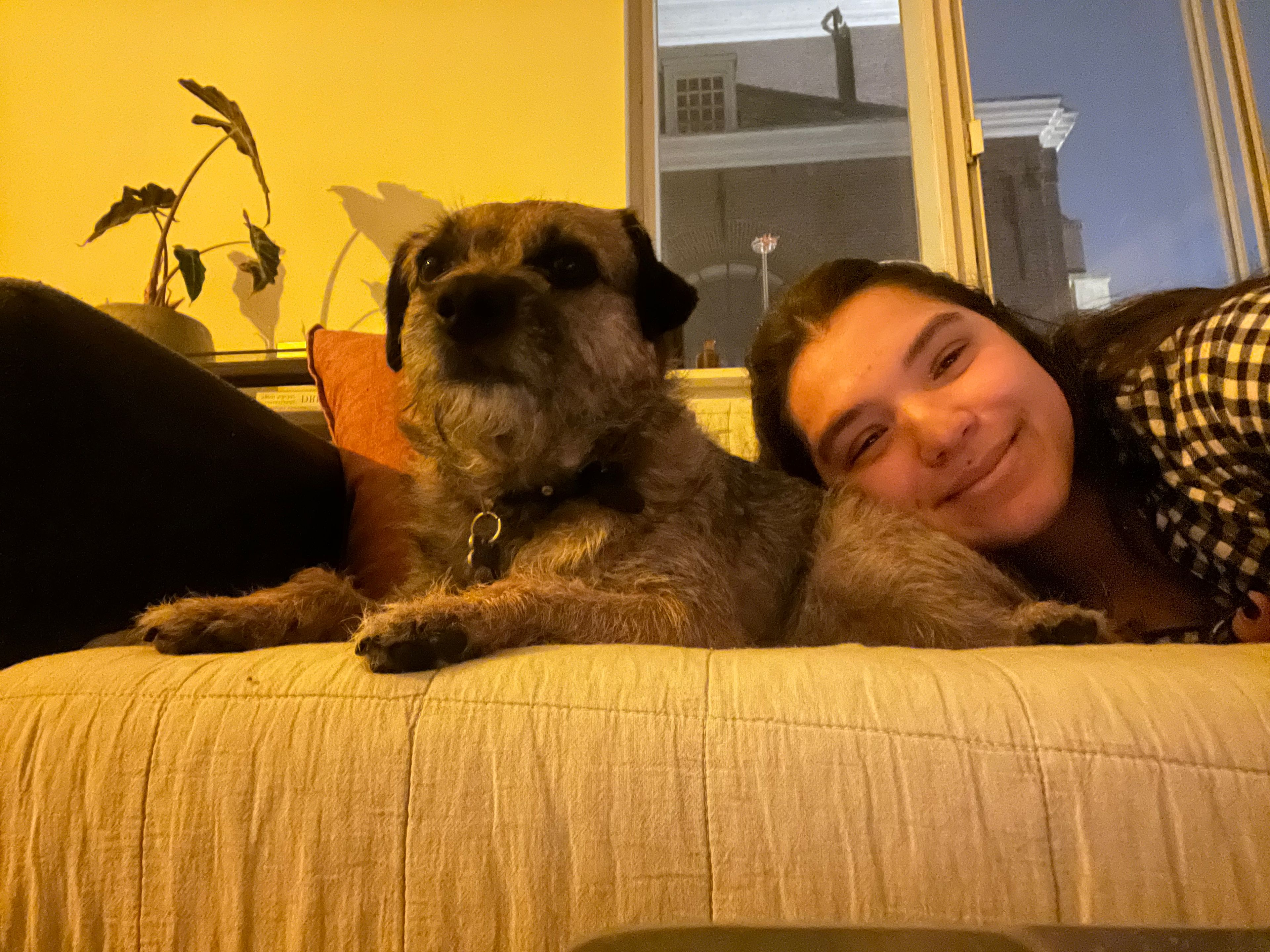image-6