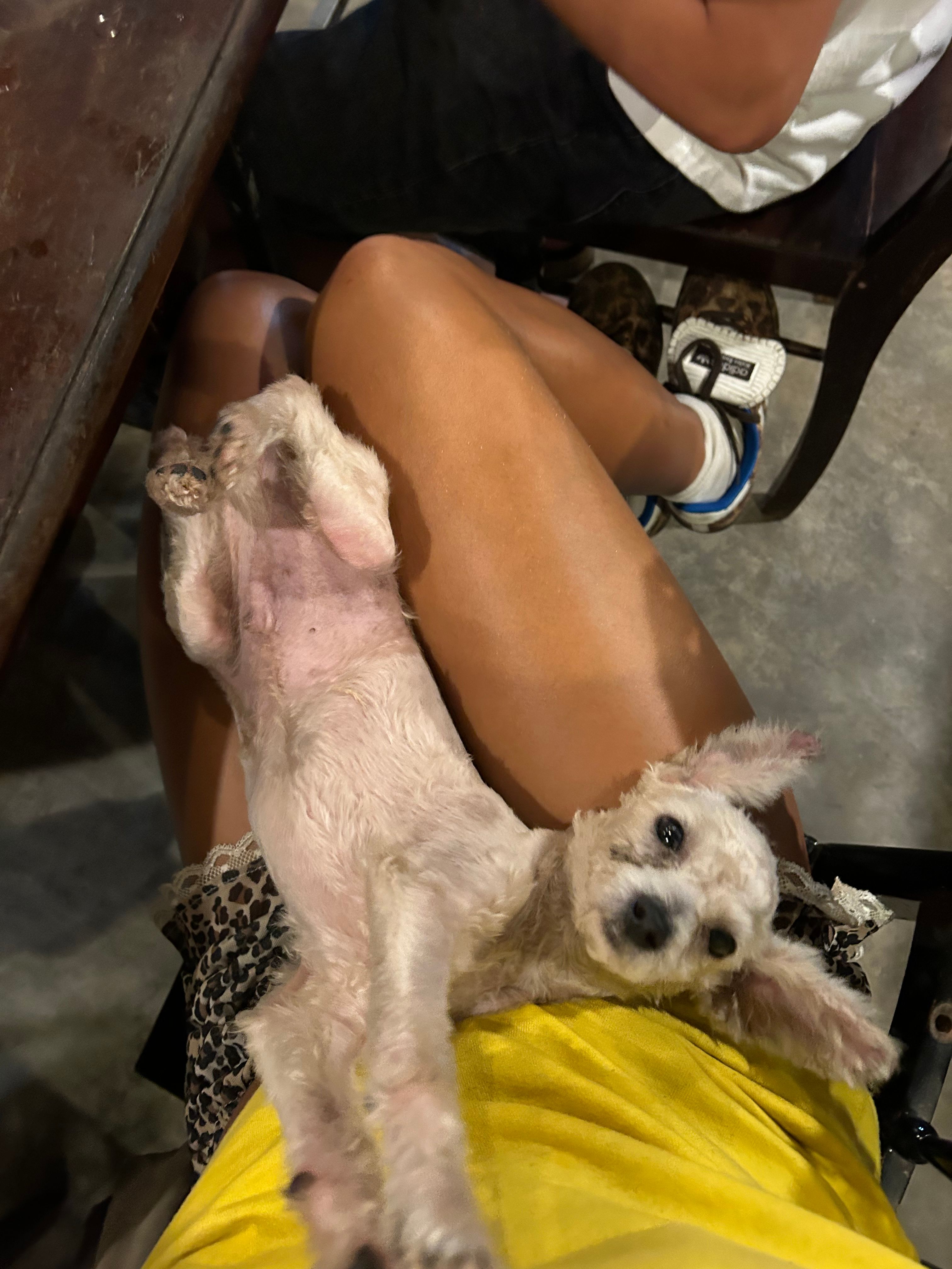 image-6