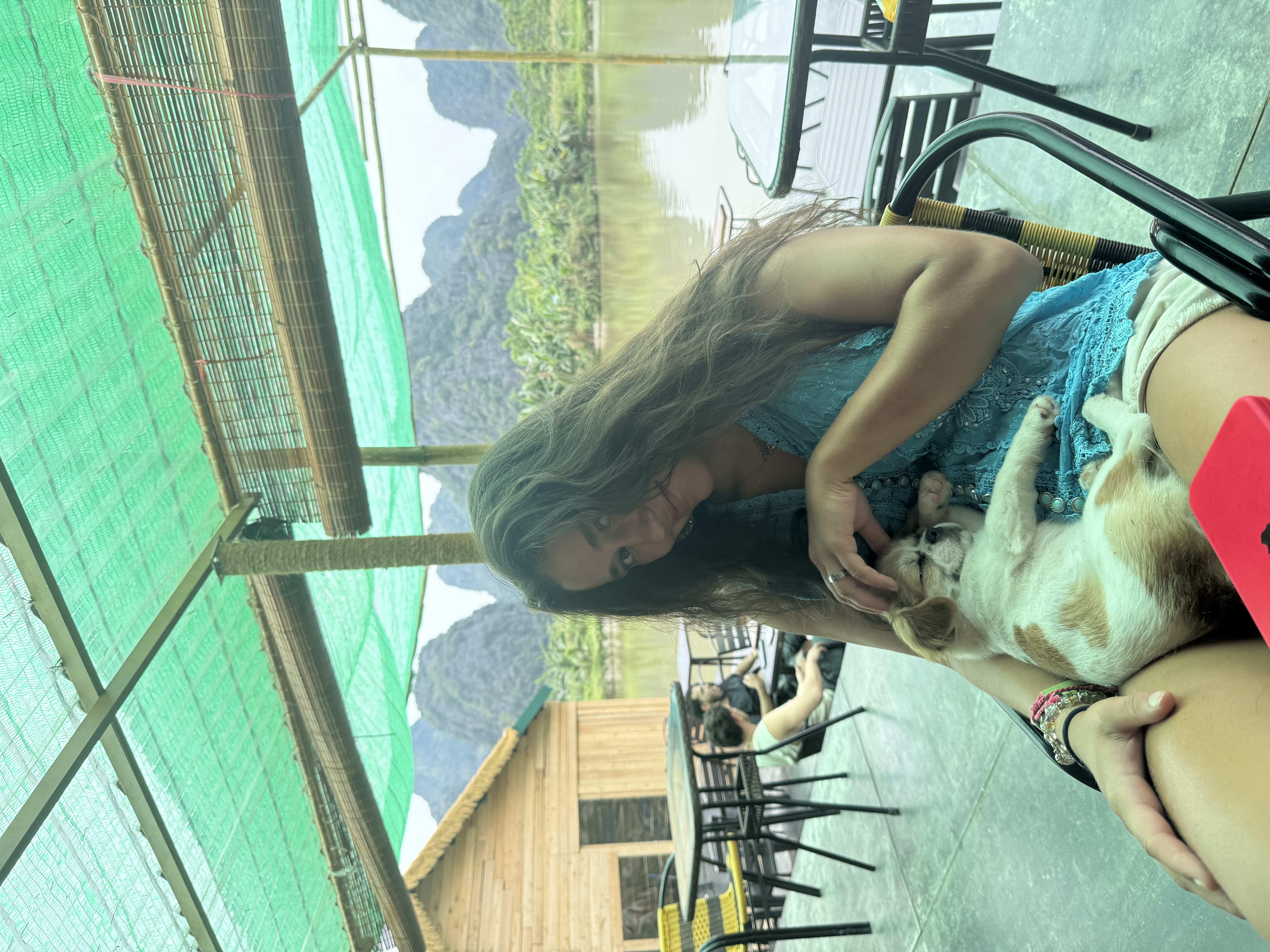 image-8