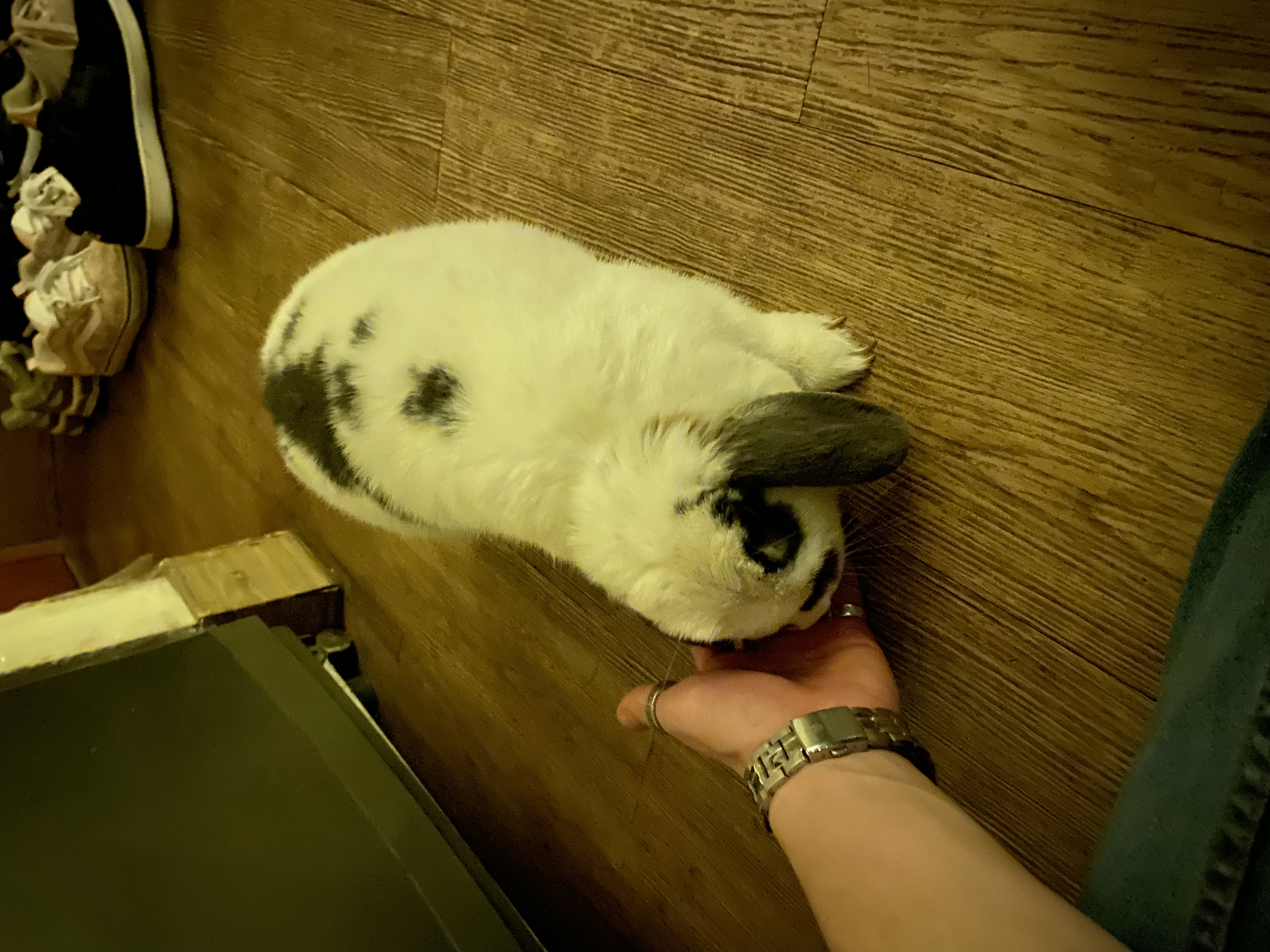 image-11