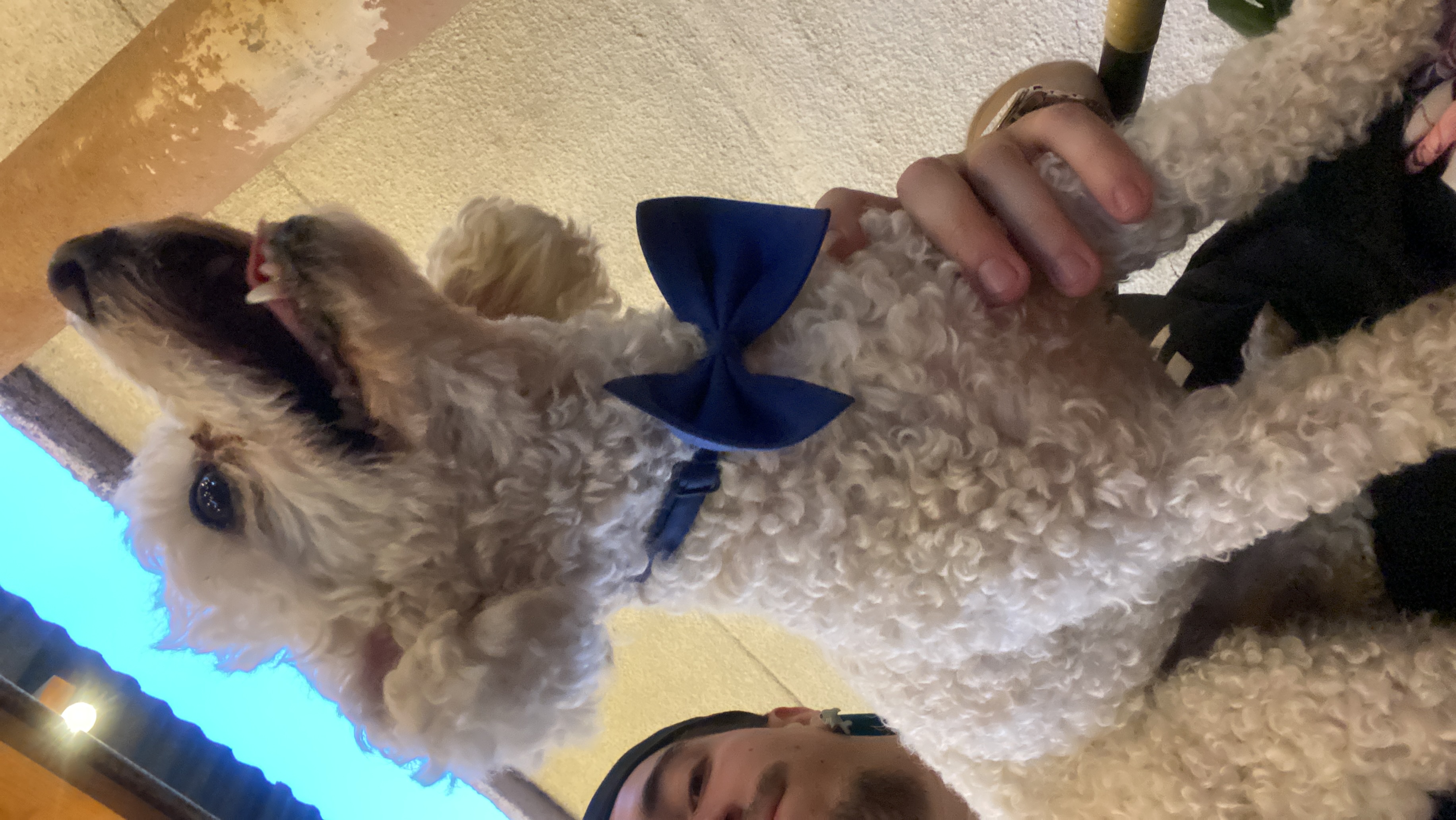 image-8