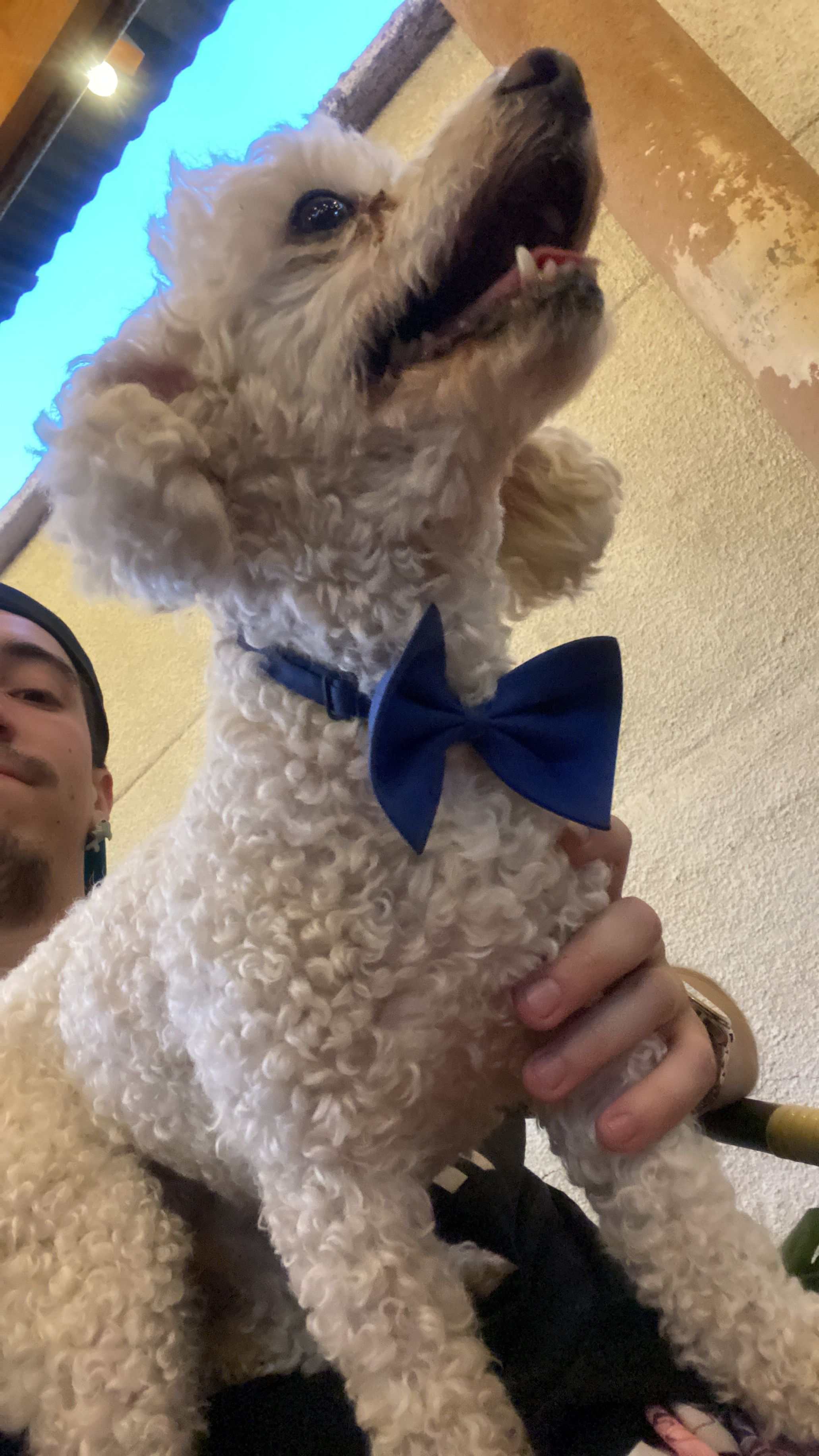image-8