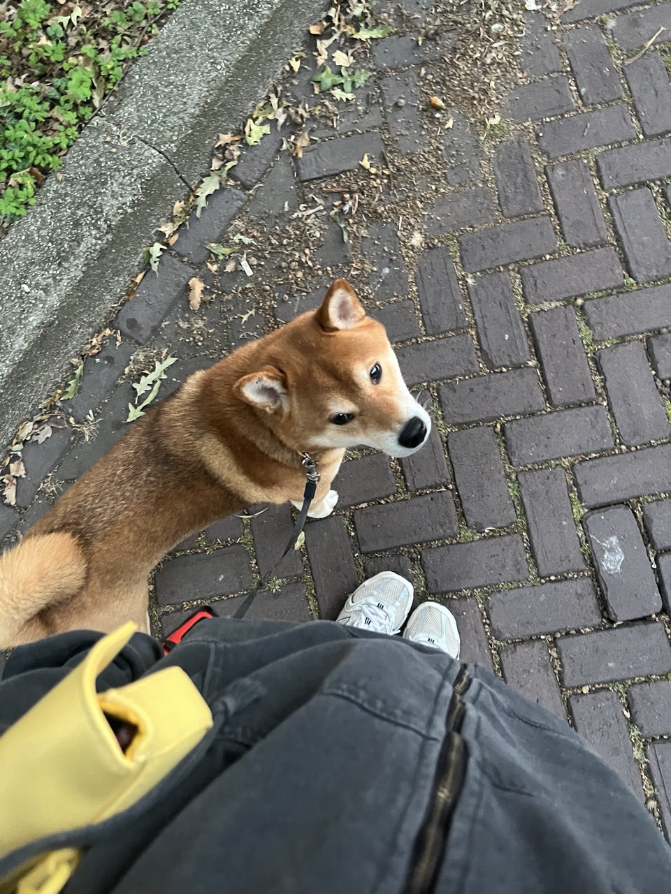 image-7