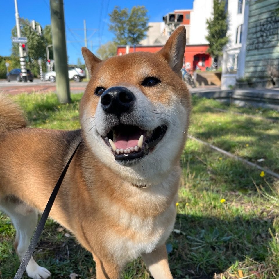 Ryuji