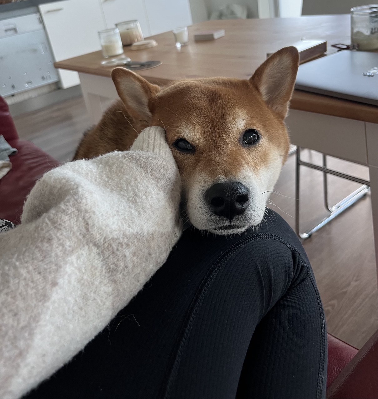 image-8