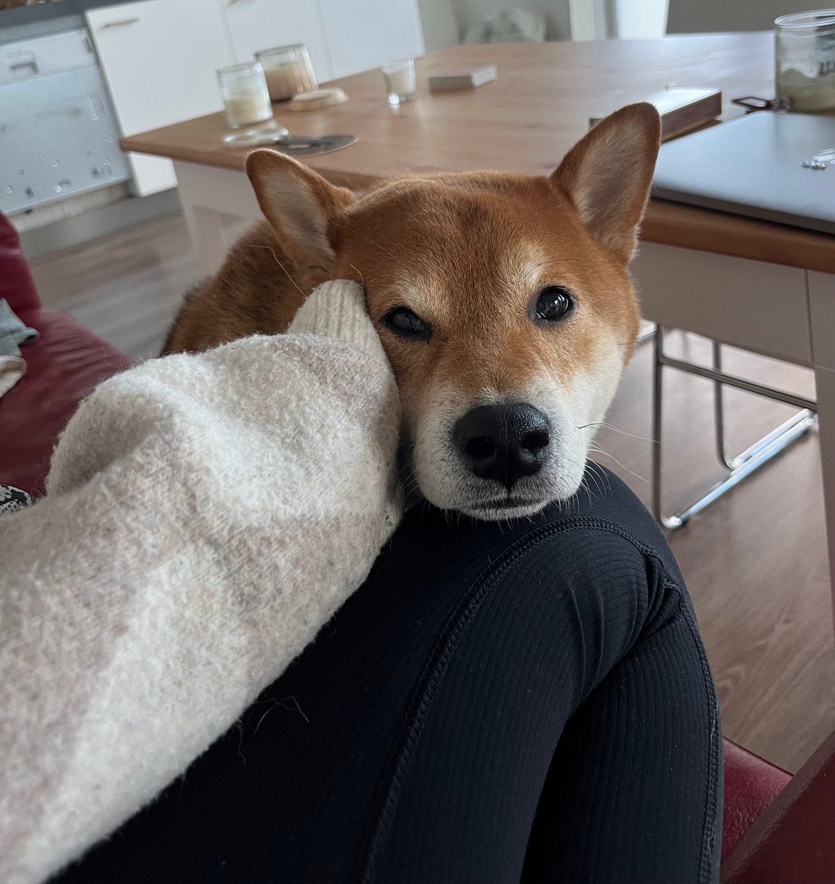 image-8