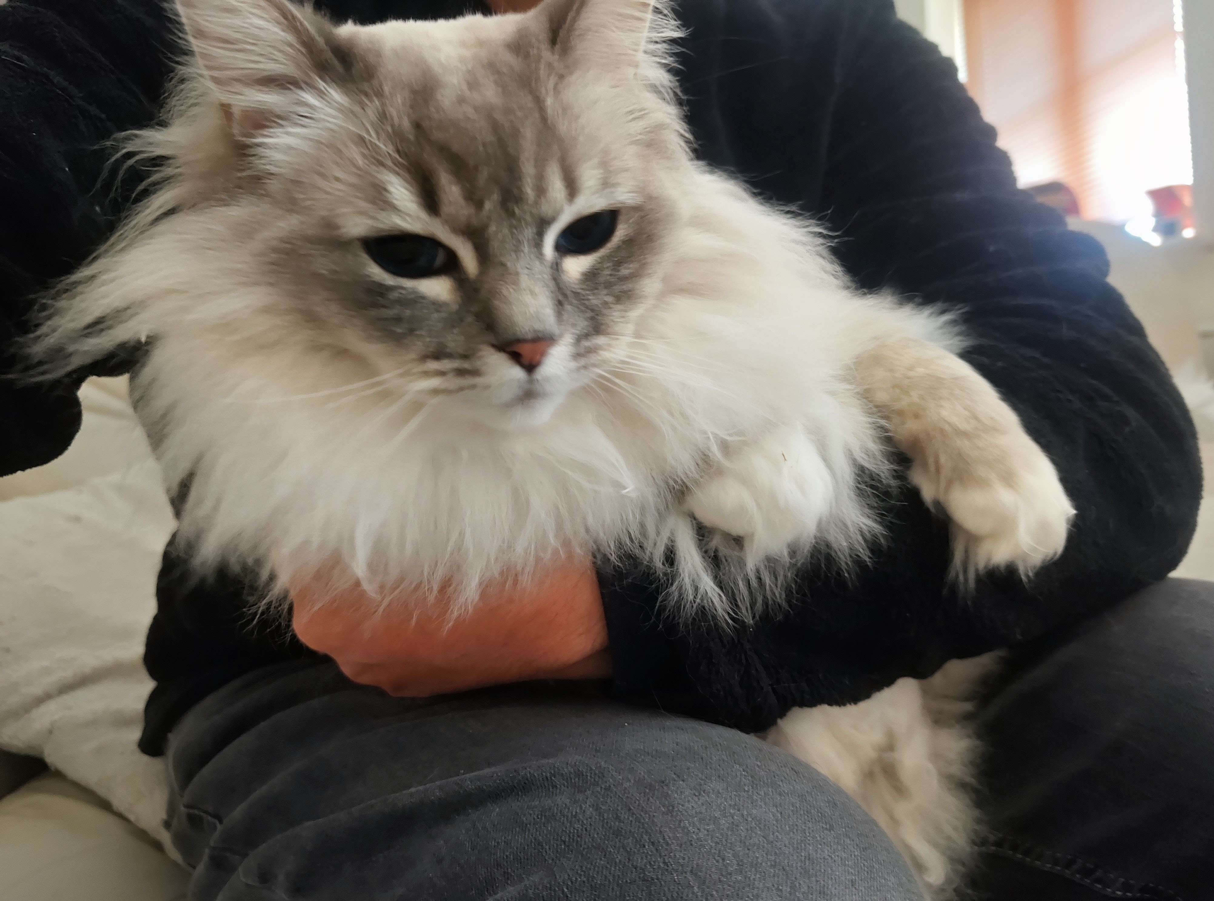 image-7