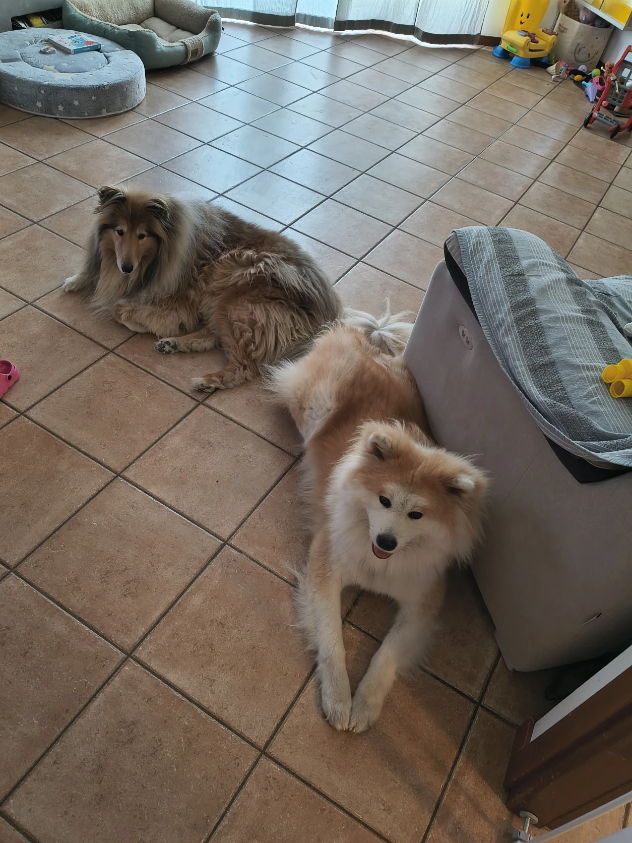 image-18