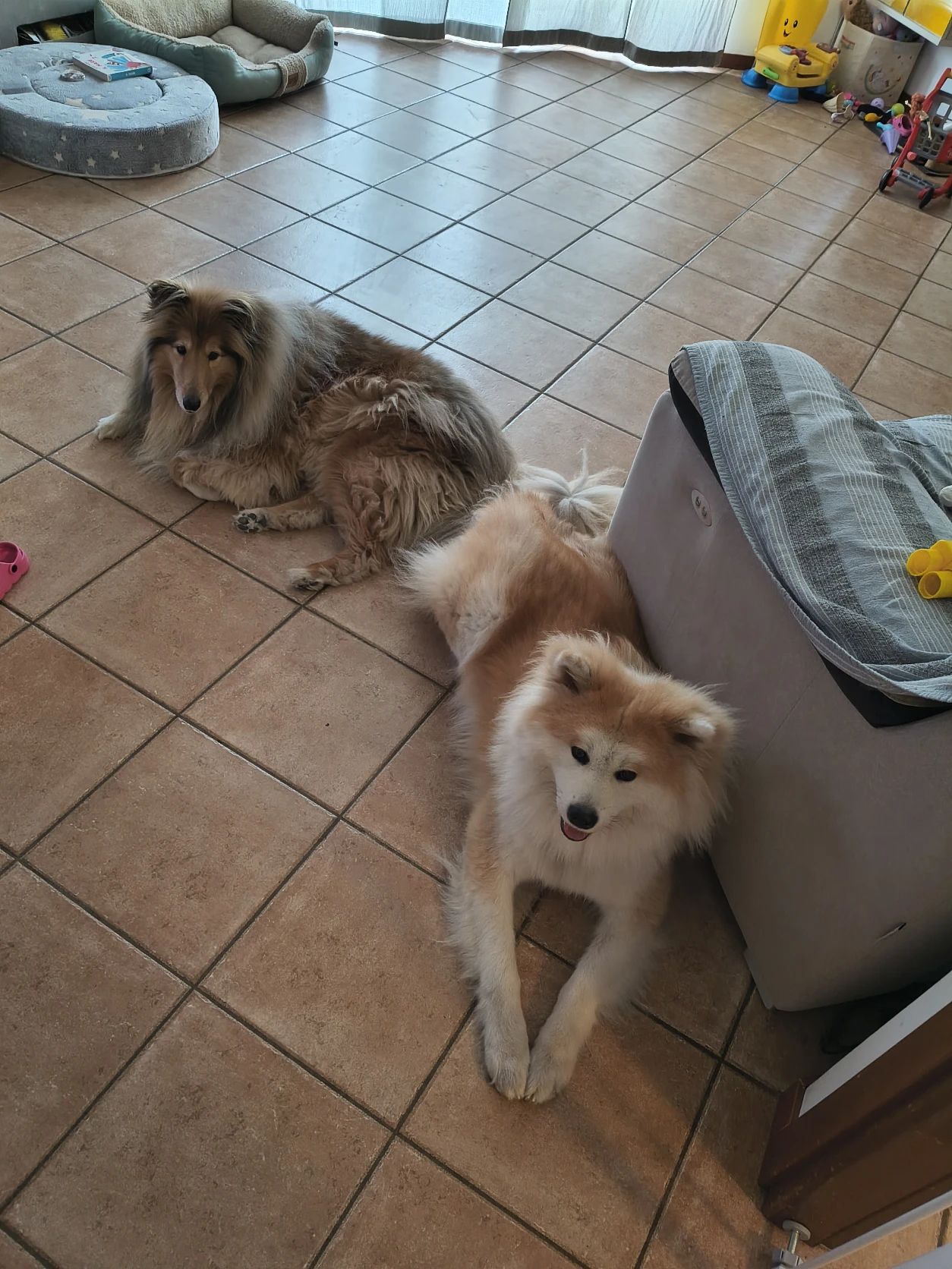 image-18