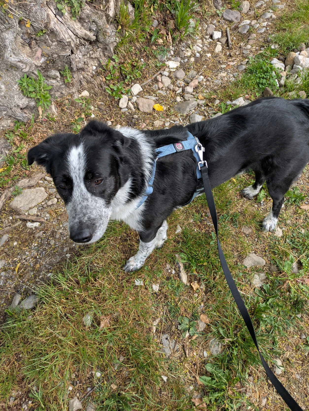 image-16
