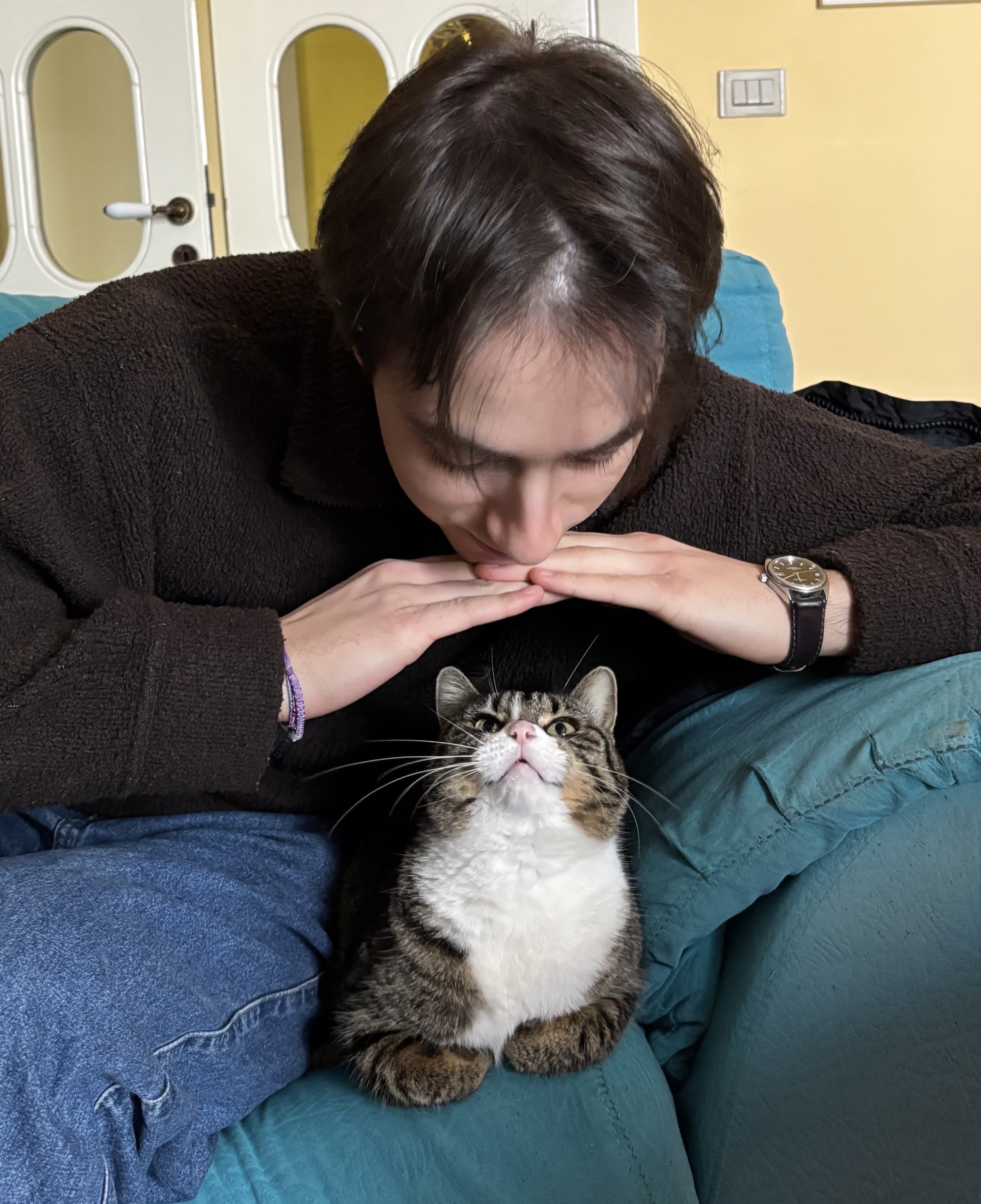 image-7