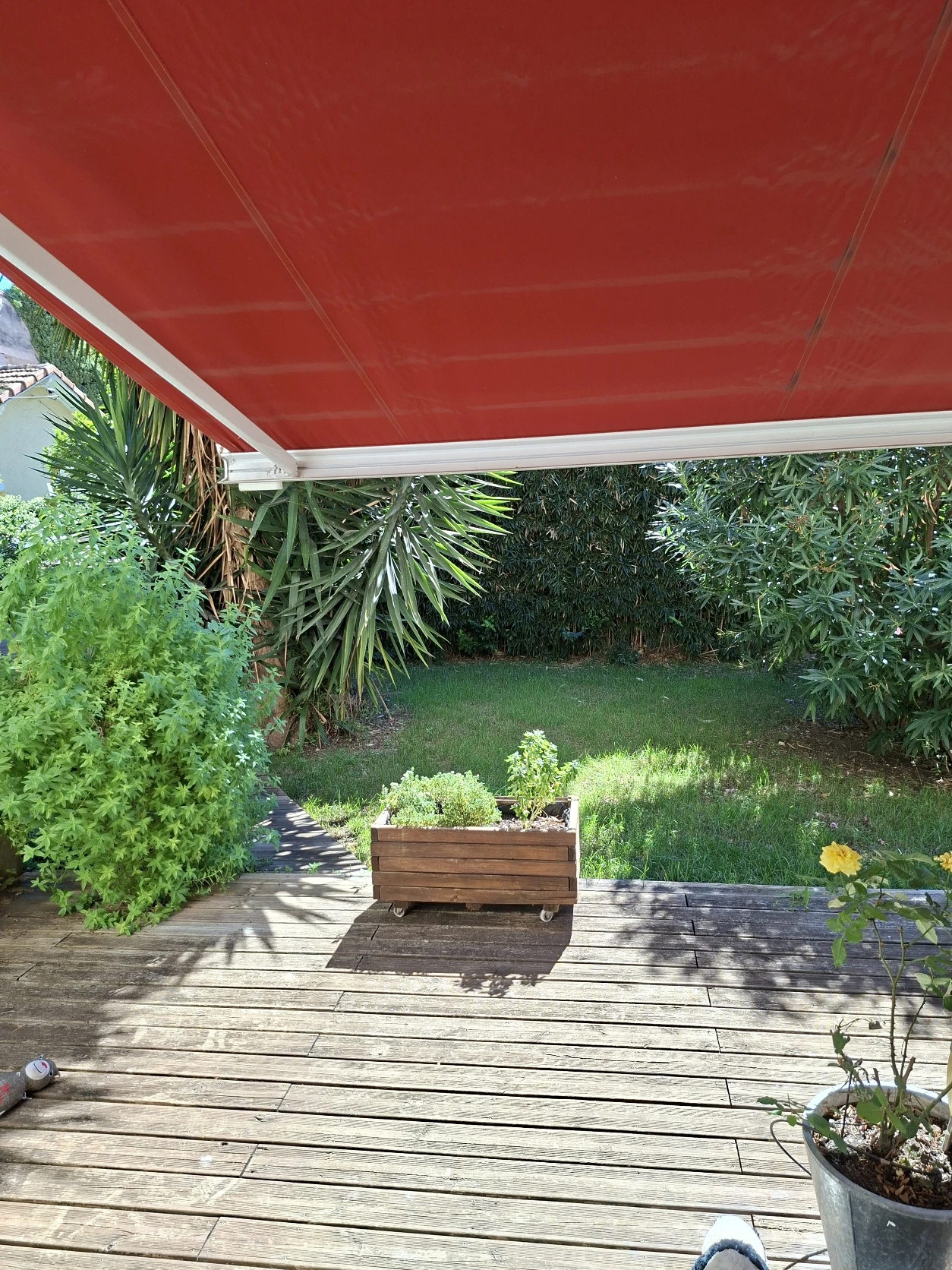 image-19