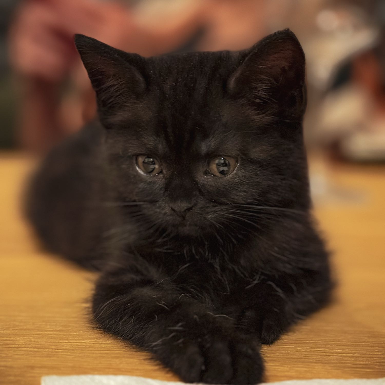 Nyx