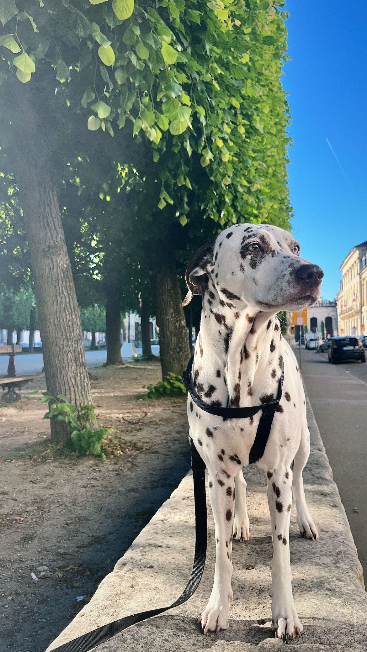 image-15