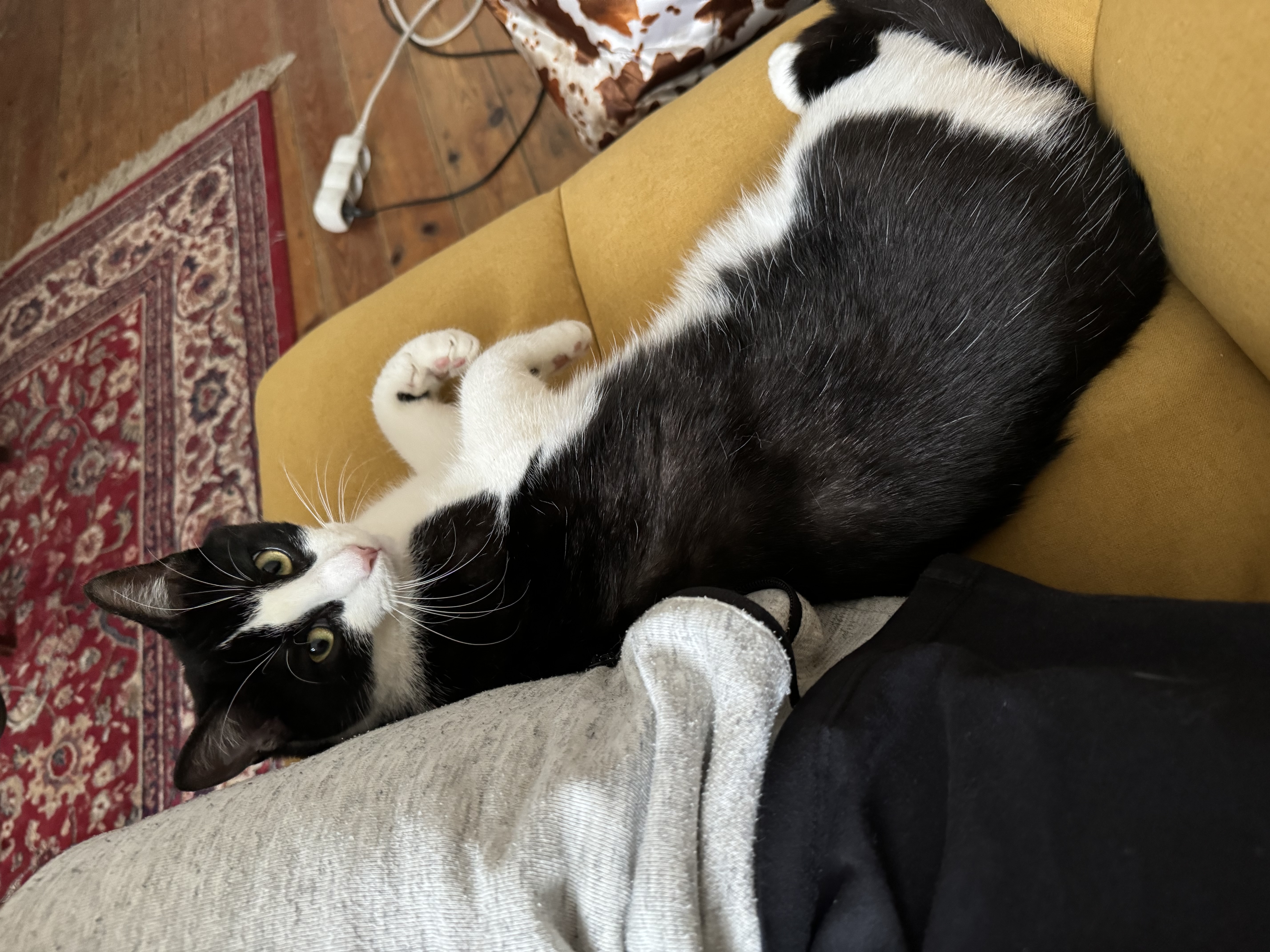 image-6