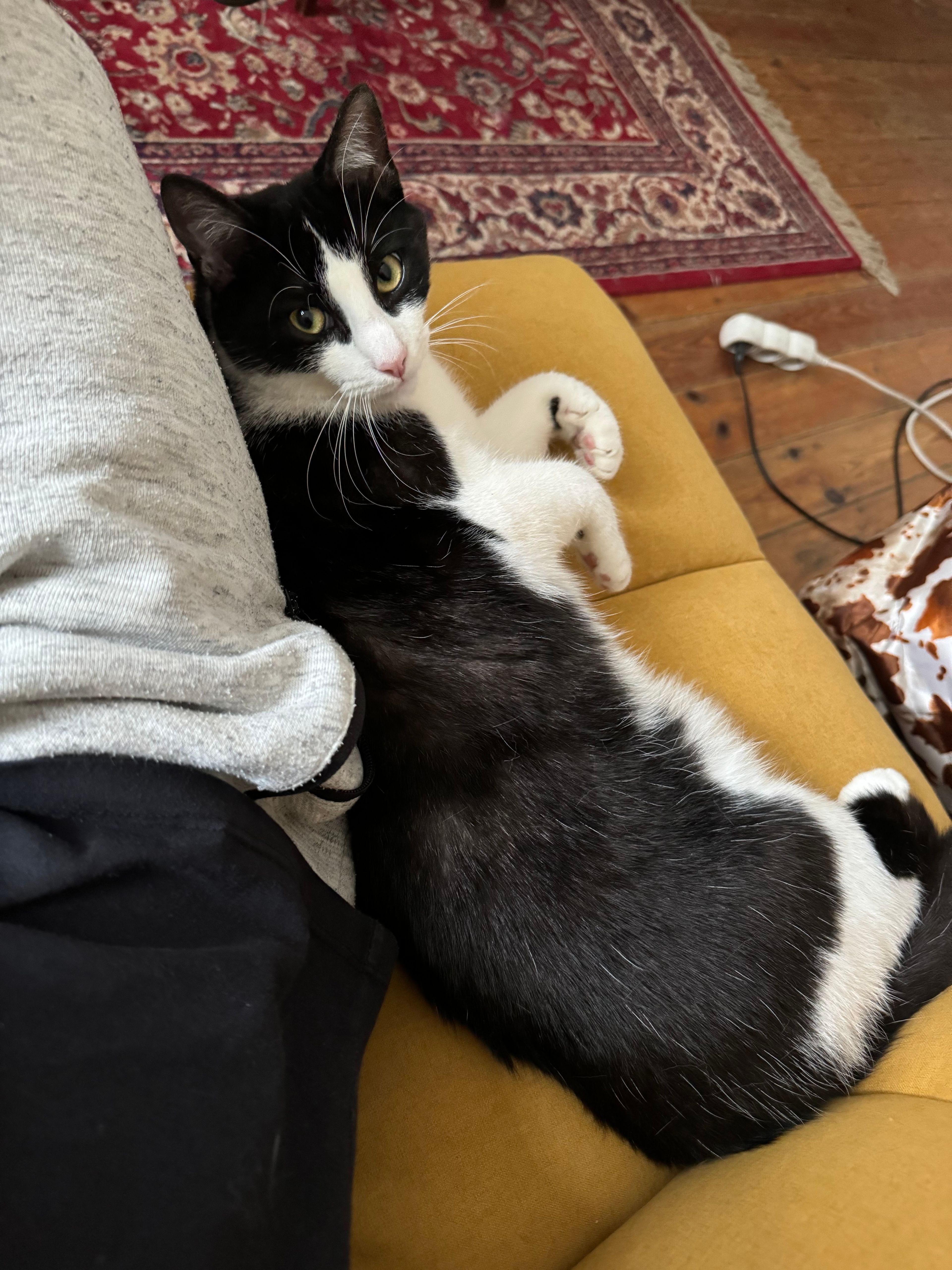 image-6