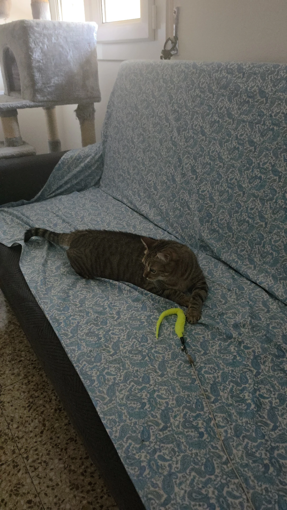 image-12