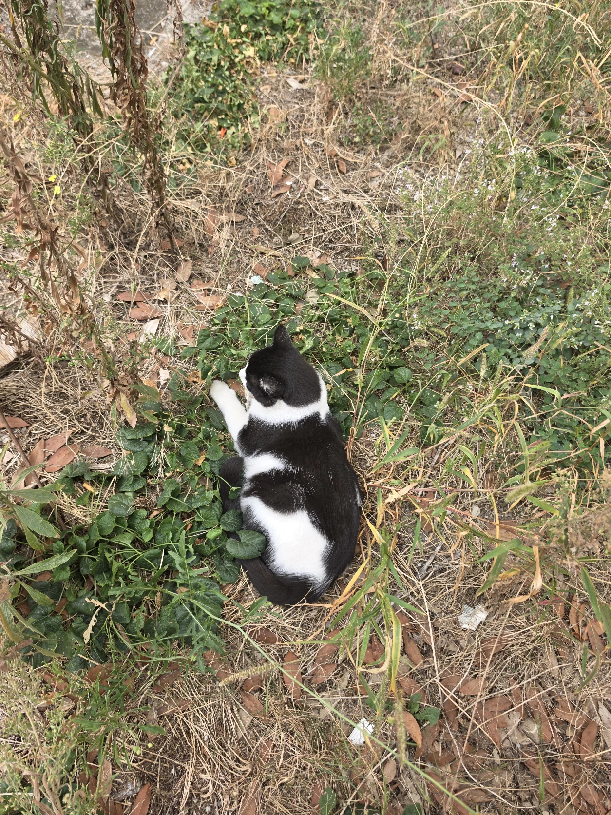 image-6