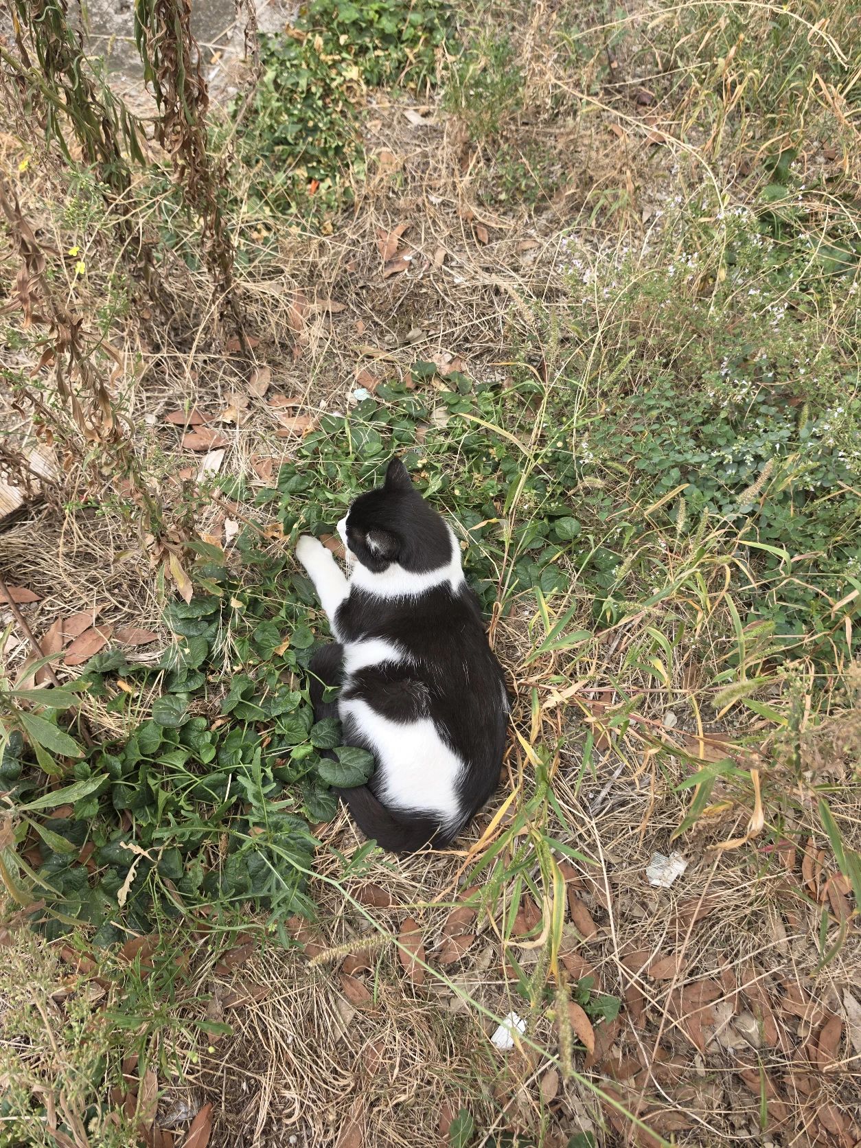 image-6
