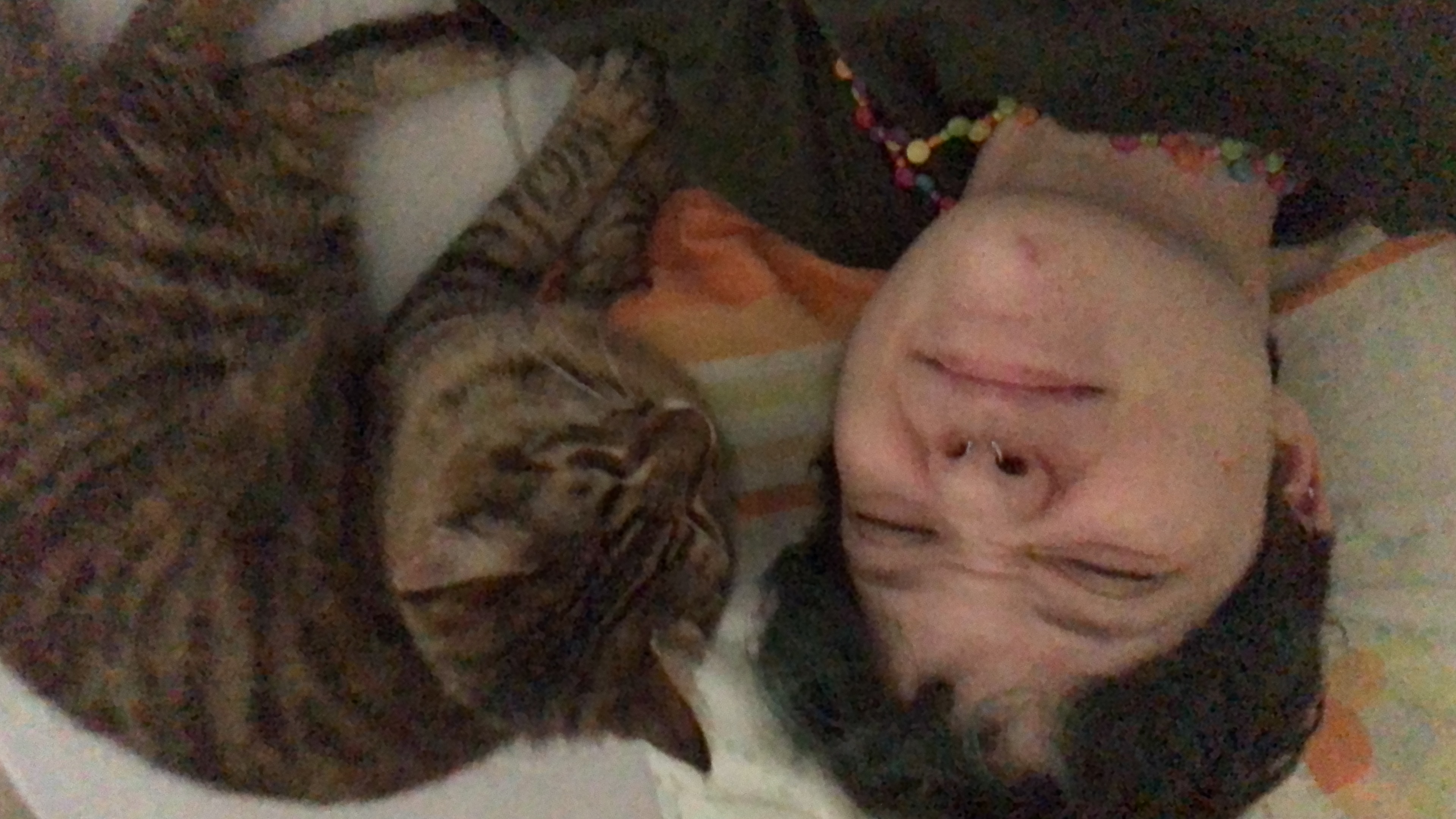 image-6