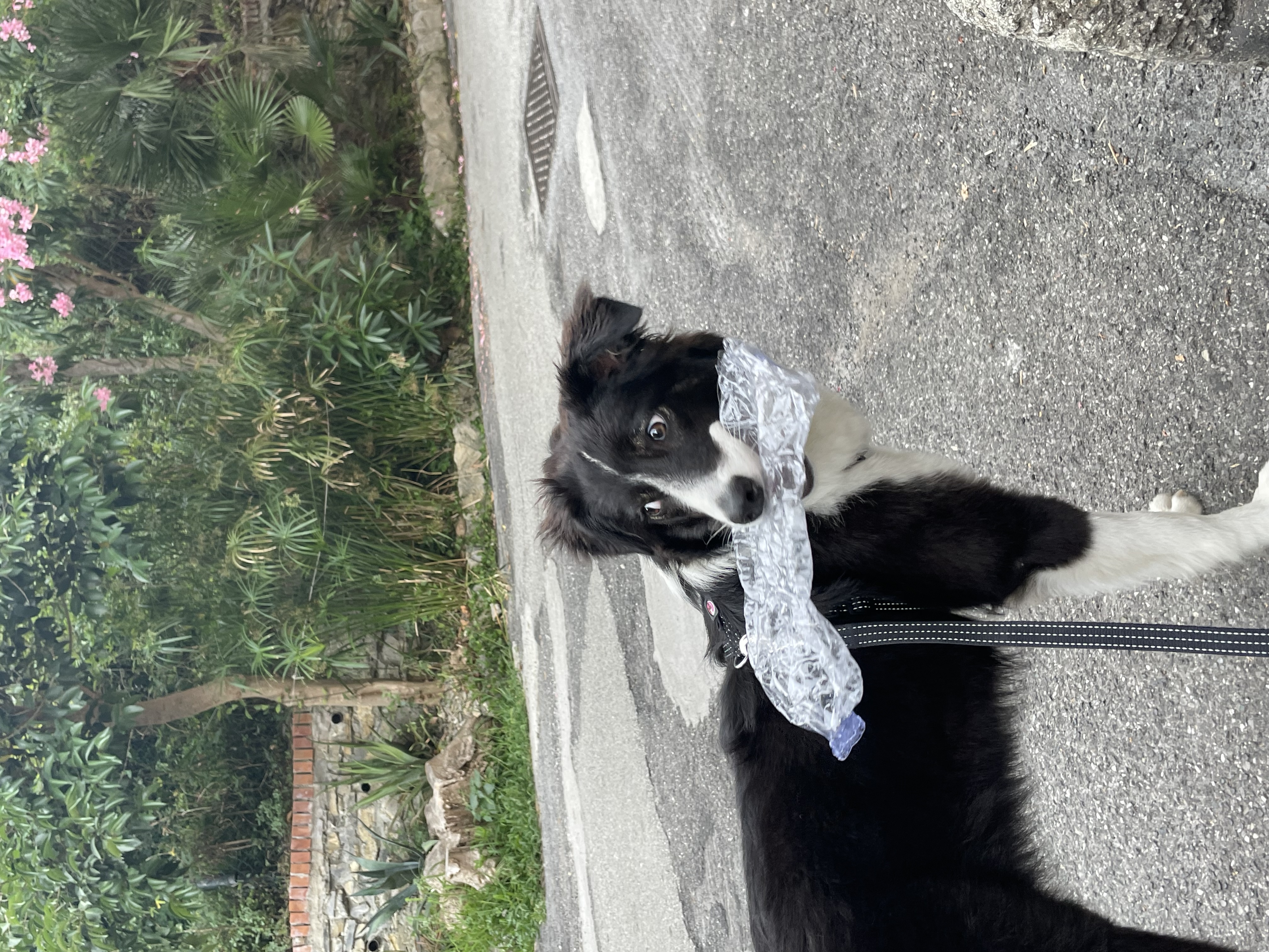 image-10