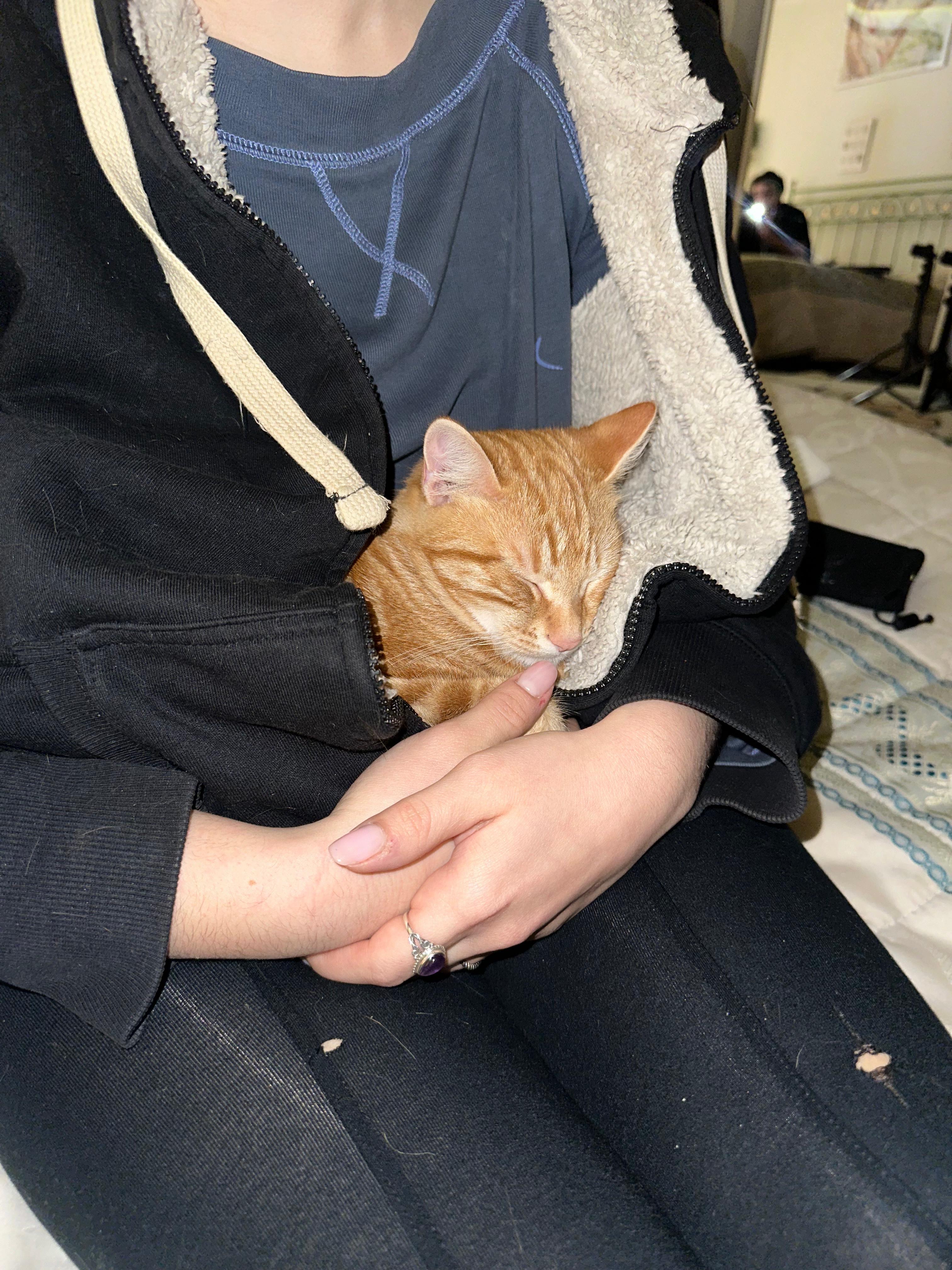 image-6