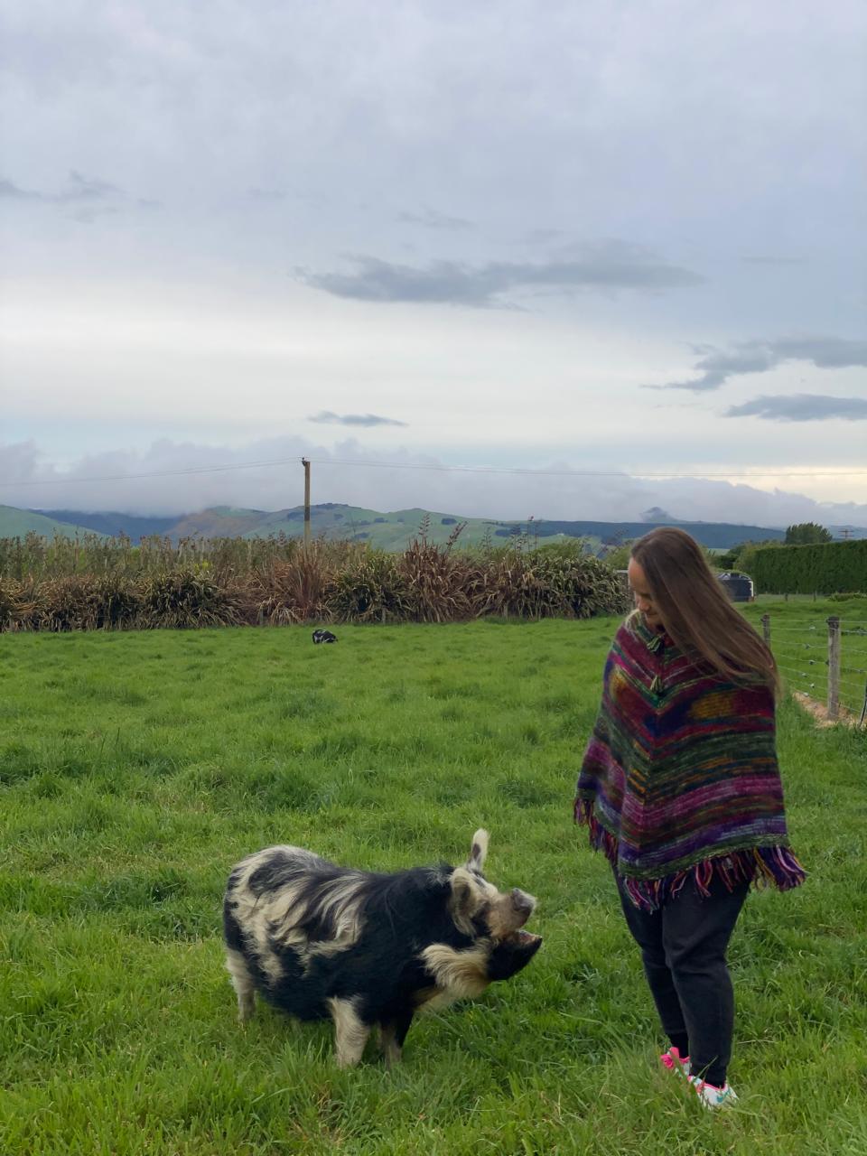 image-6
