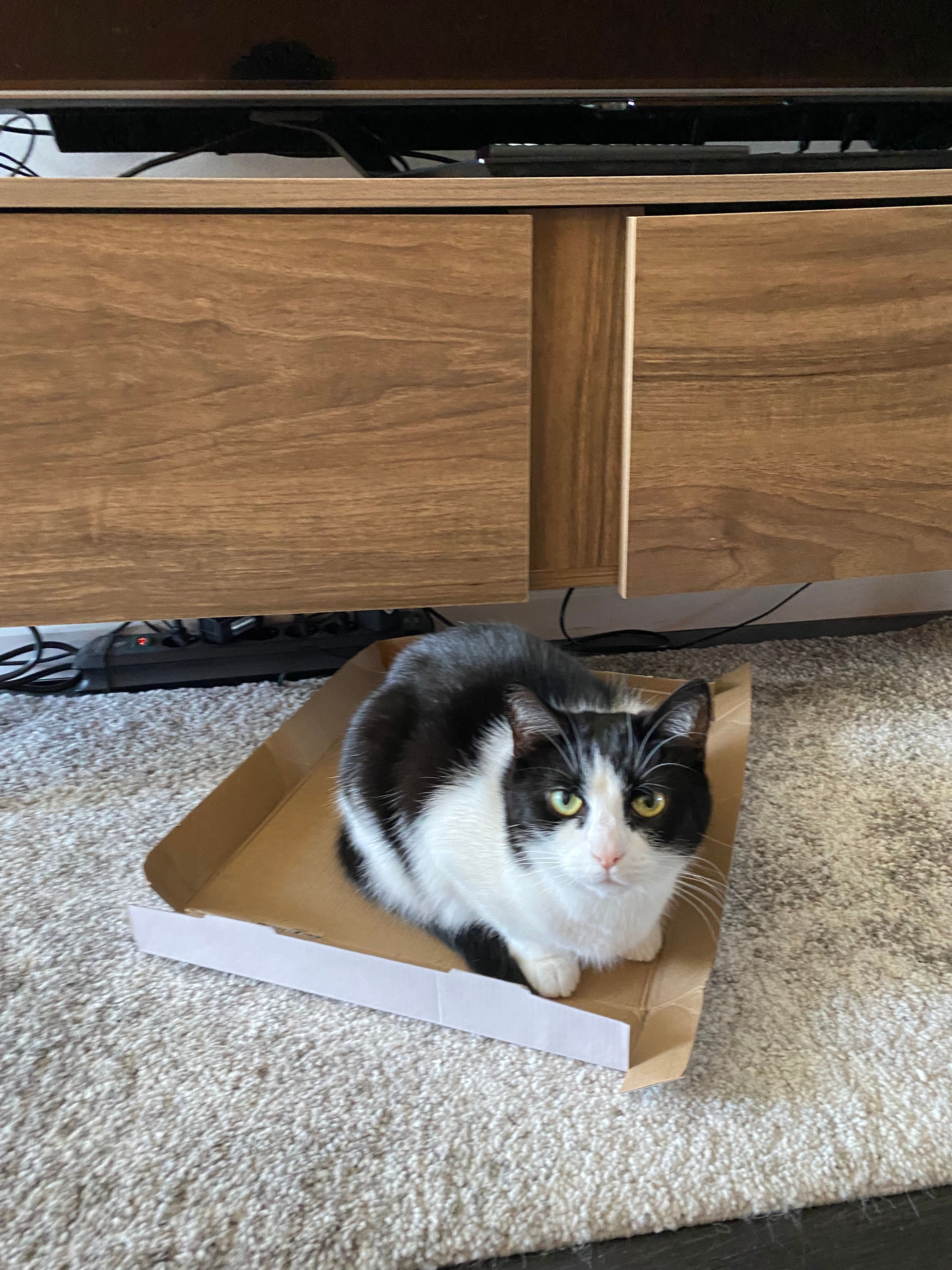image-16