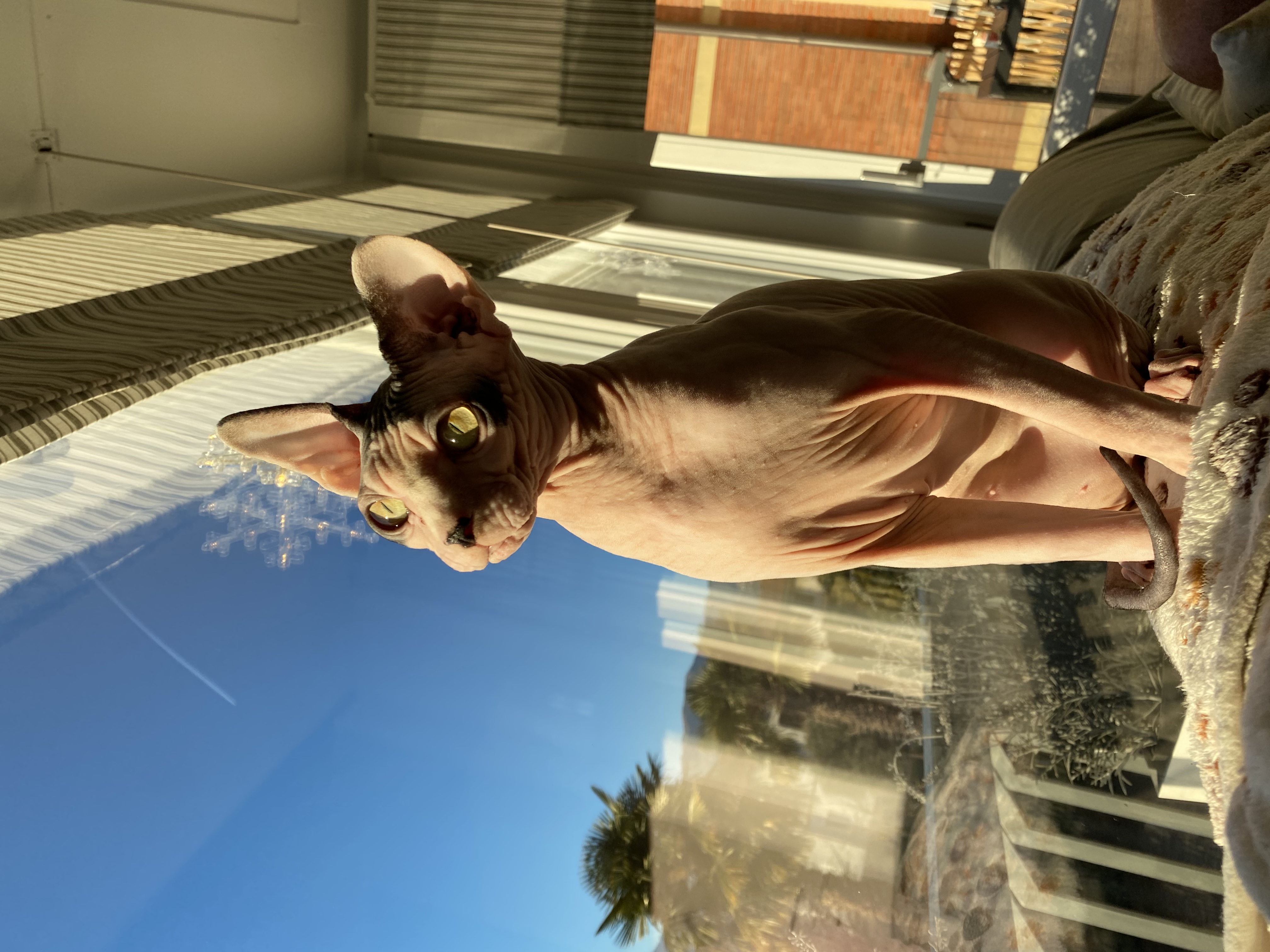 image-7
