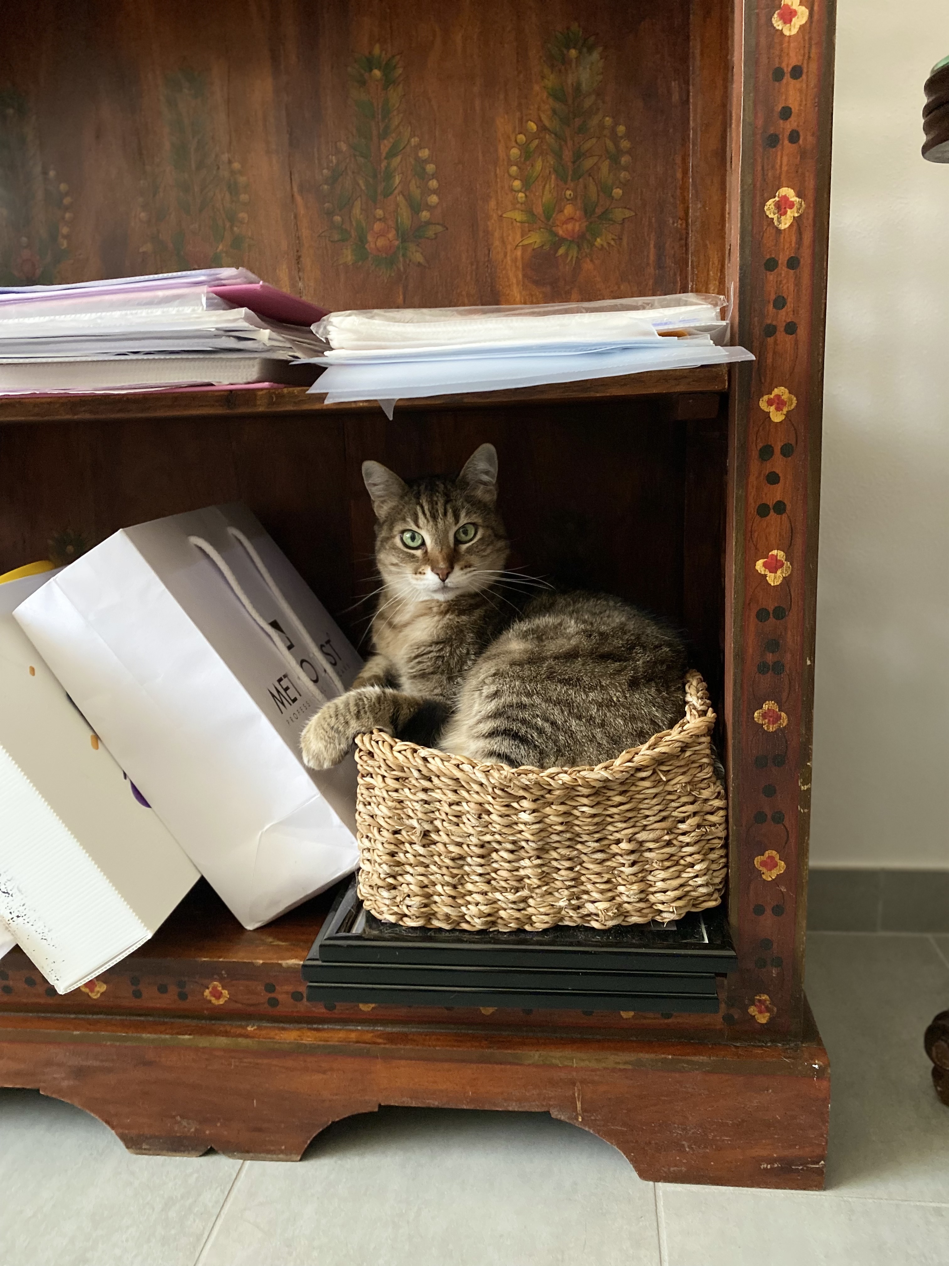image-12