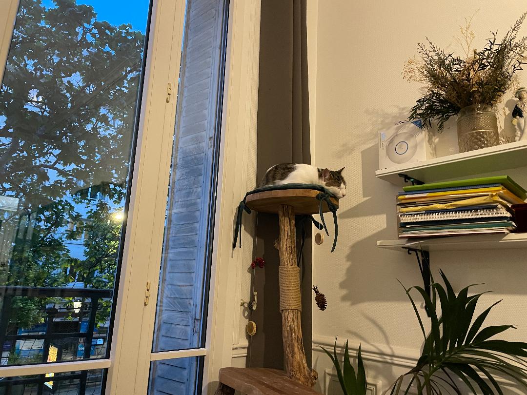 image-19