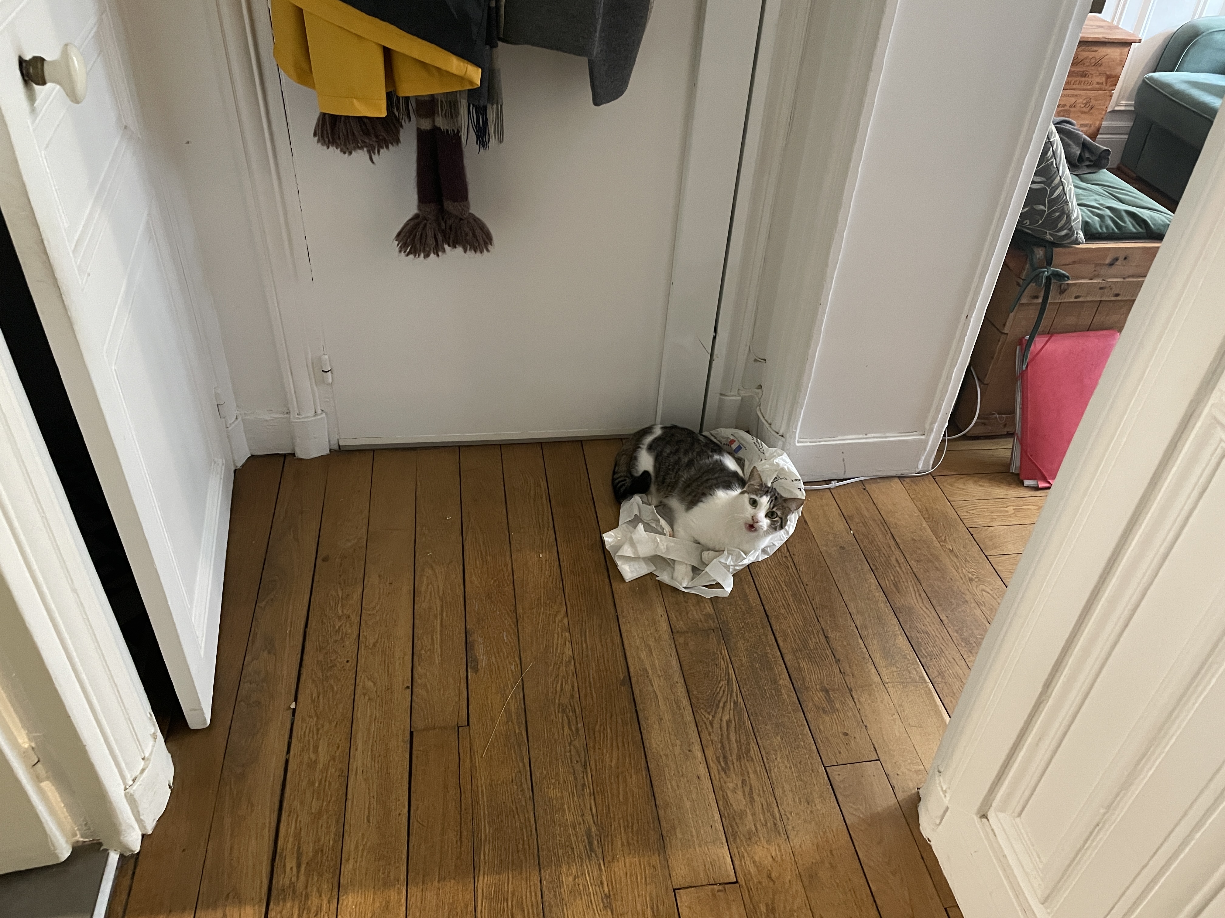 image-25