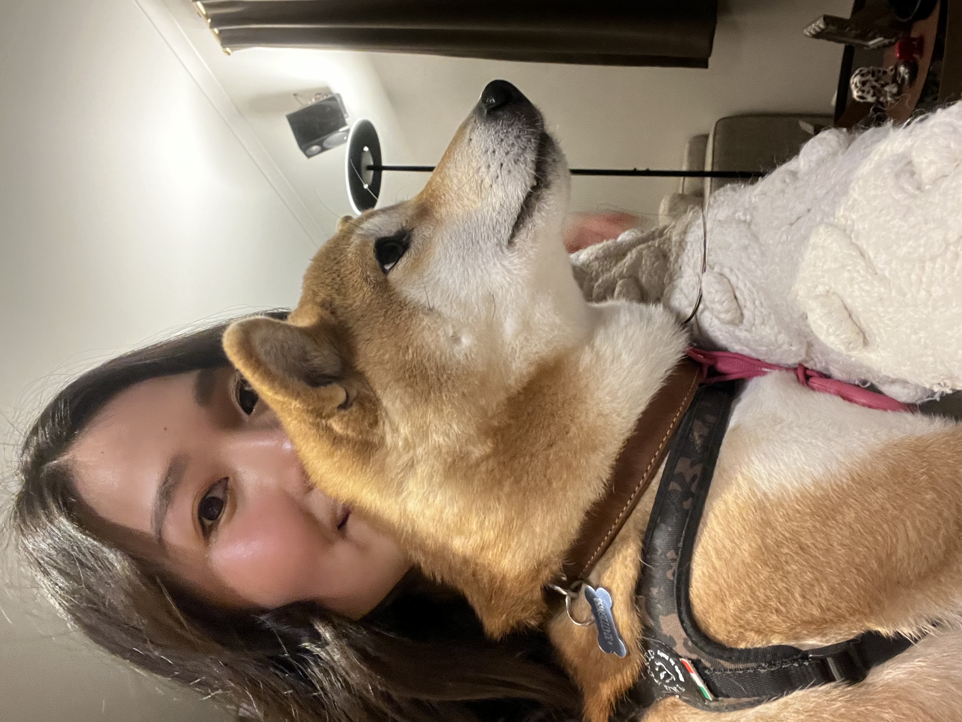 image-6