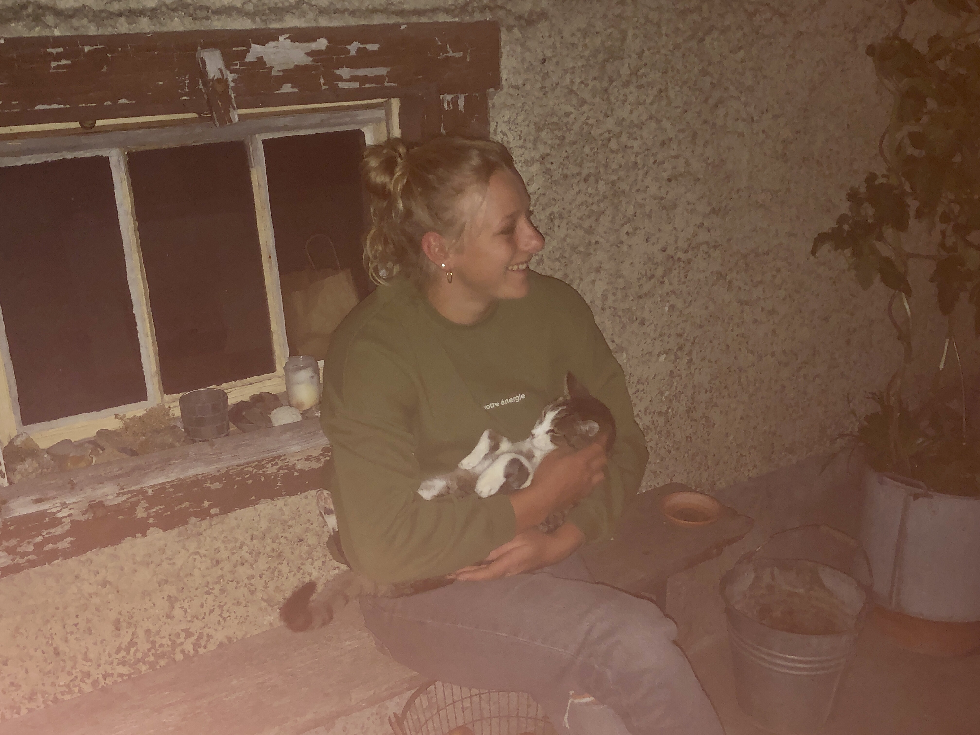 image-7